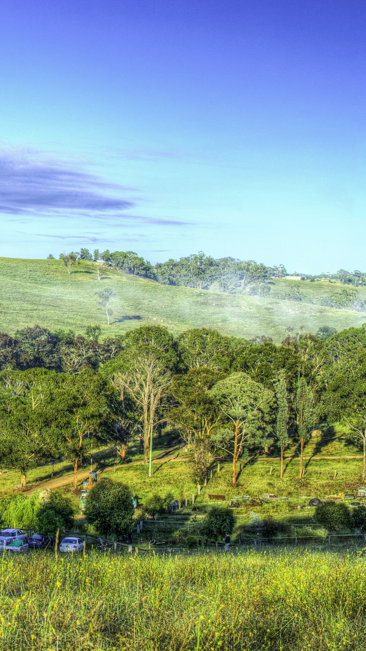 Arbres Verts et Montagnes Sous Ciel Bleu Pendant la Journée. Wallpaper in 750x1334 Resolution