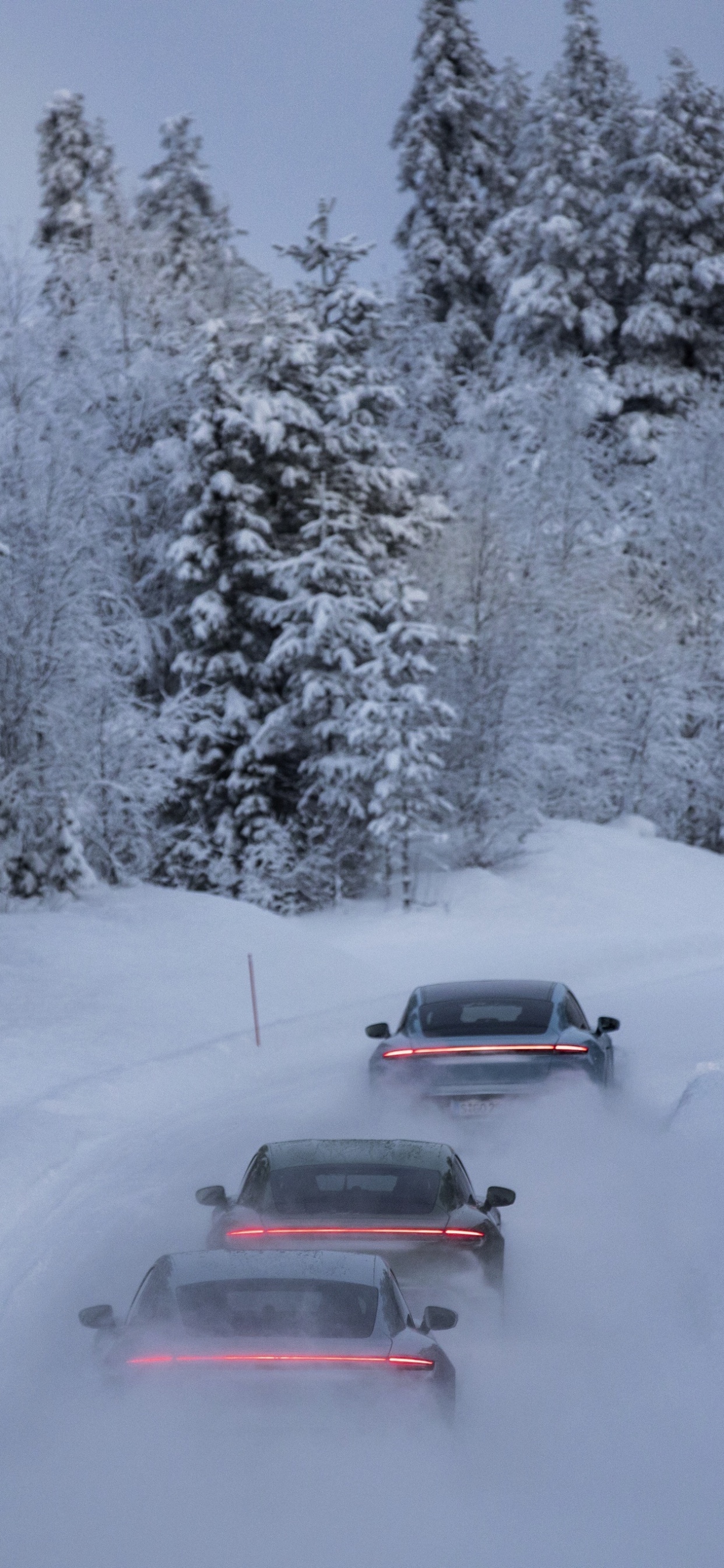 Nieve, Porsche, Porsche Taycan, Neumatico, Rueda. Wallpaper in 1242x2688 Resolution