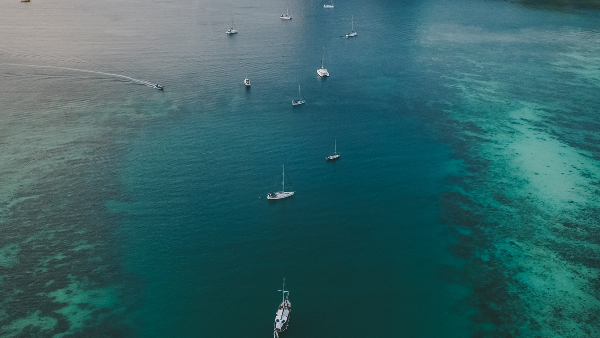 Oliver Sjostrom, Phi Phi Inseln, Kroatien, Wasser, Wasserressourcen. Wallpaper in 1920x1080 Resolution