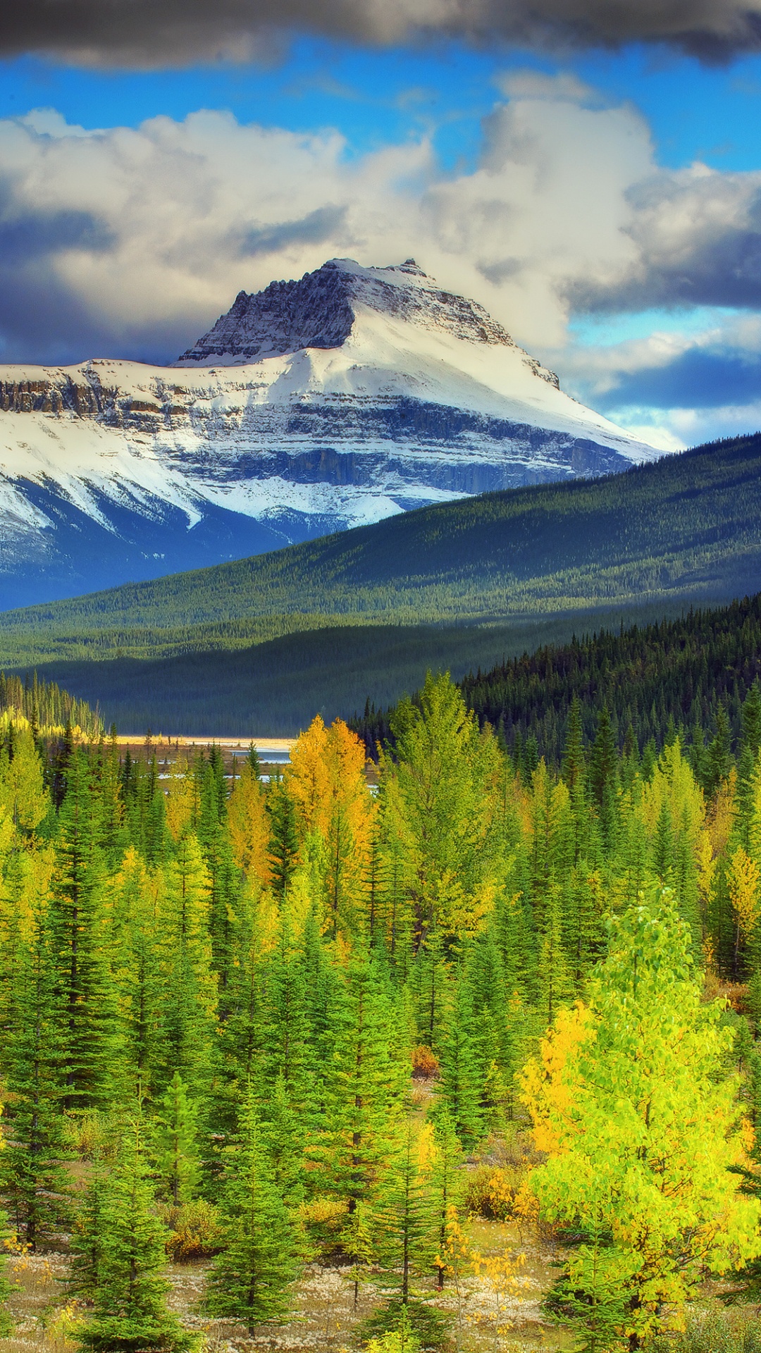 Green Pine Trees Near Snow Covered Mountain Under Cloudy Sky During Daytime. Wallpaper in 1080x1920 Resolution