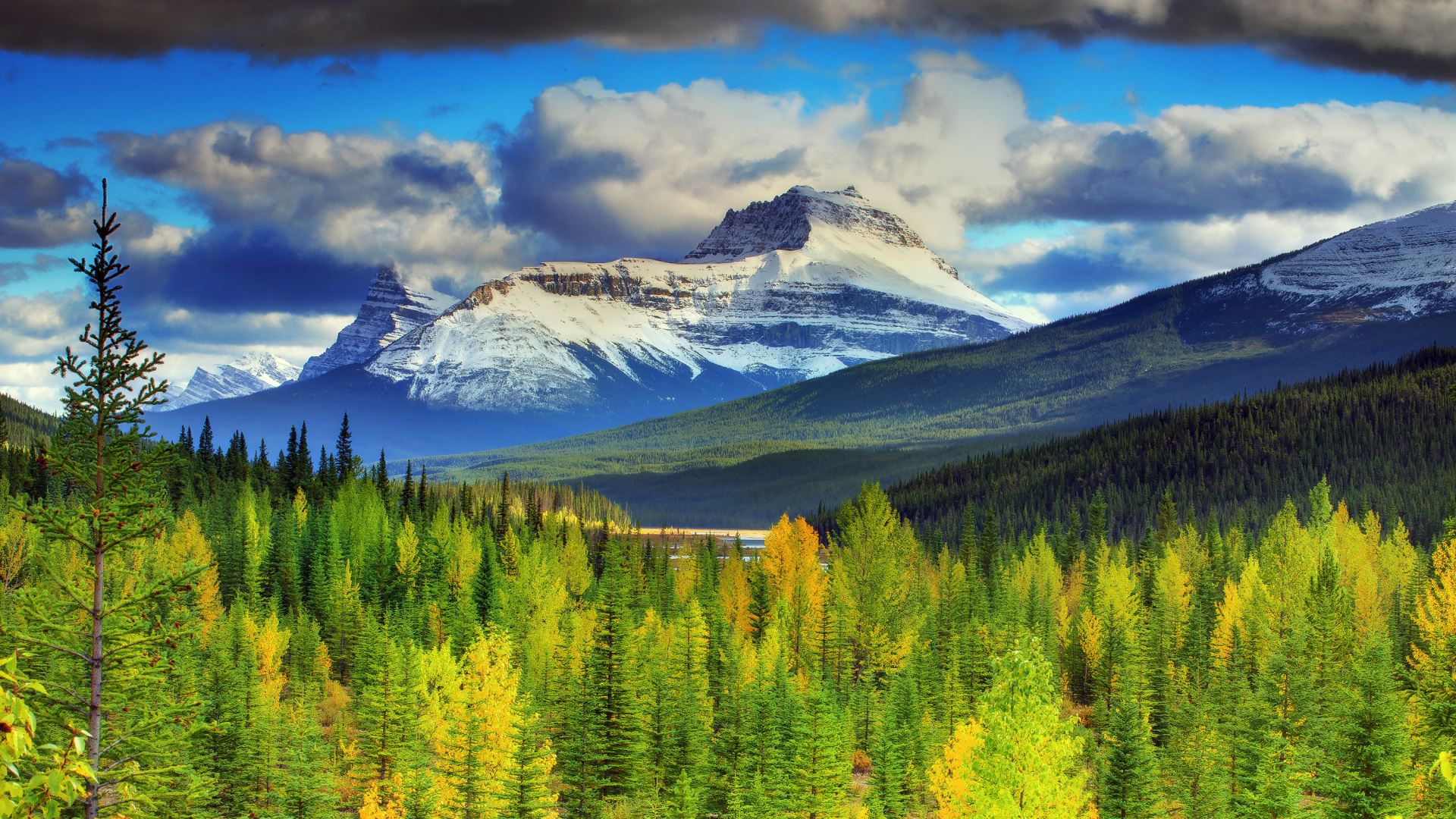 Green Pine Trees Near Snow Covered Mountain Under Cloudy Sky During Daytime. Wallpaper in 1920x1080 Resolution