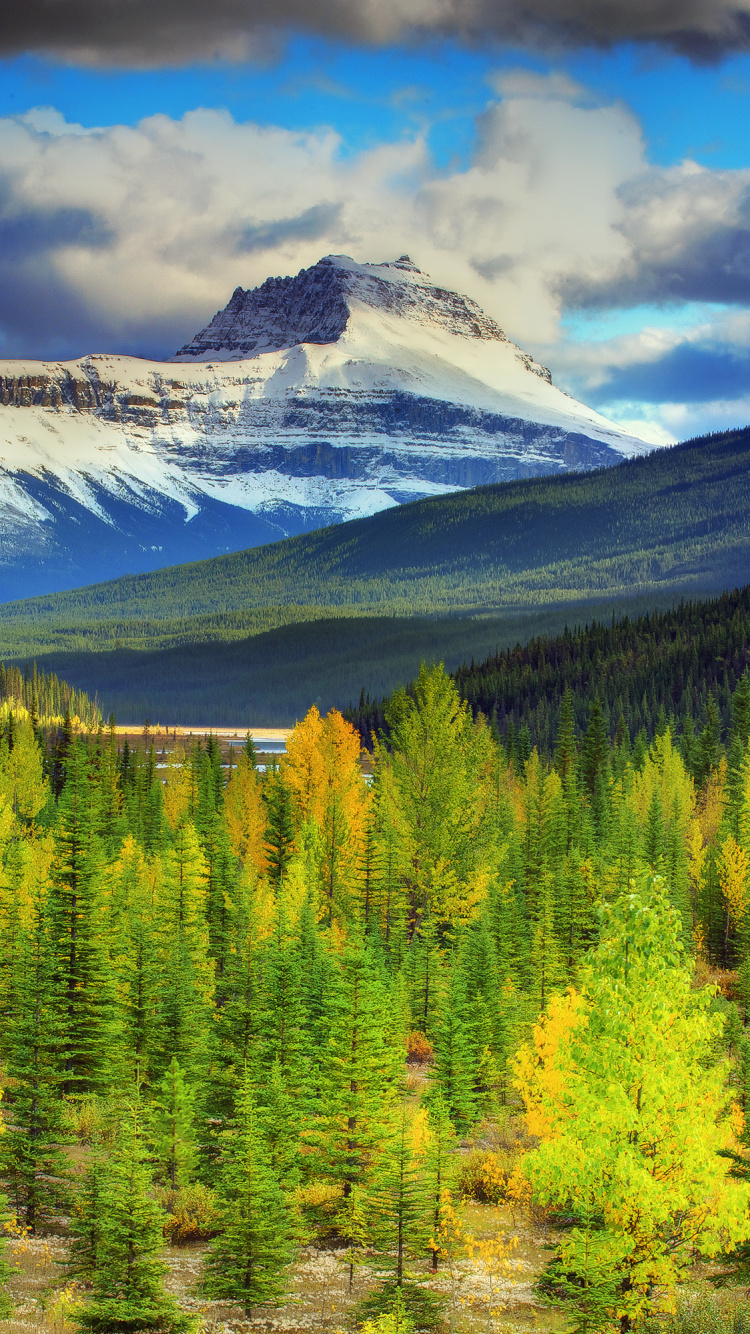 Grüne Kiefern in Der Nähe Von Schneebedeckten Bergen Unter Bewölktem Himmel Tagsüber During. Wallpaper in 750x1334 Resolution