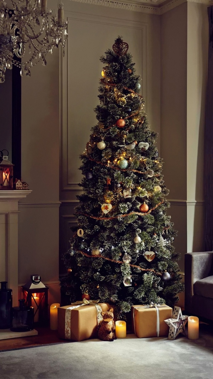 Arbre de Noël, L'éducation du Nouveau Millénaire, Ornement de Noël, Lumière, Vacances Ornement. Wallpaper in 720x1280 Resolution