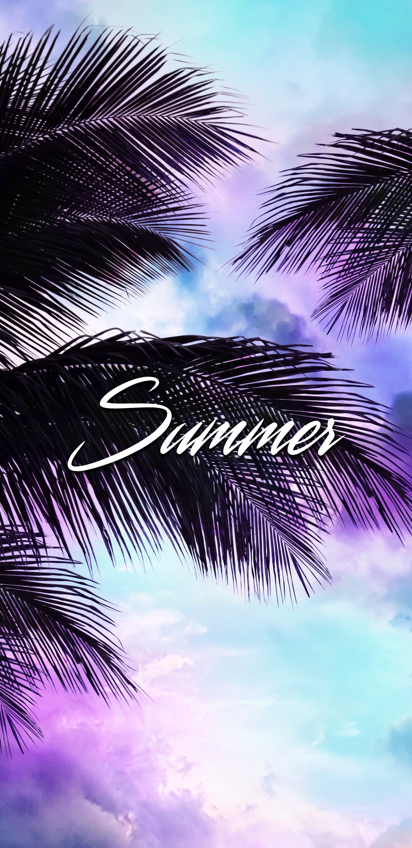 Summer, Cloud, Atmosphere, Daytime, Azure. Wallpaper in 1440x2960 Resolution