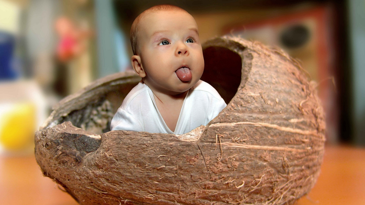 Infant, Coconut, Child. Wallpaper in 1280x720 Resolution