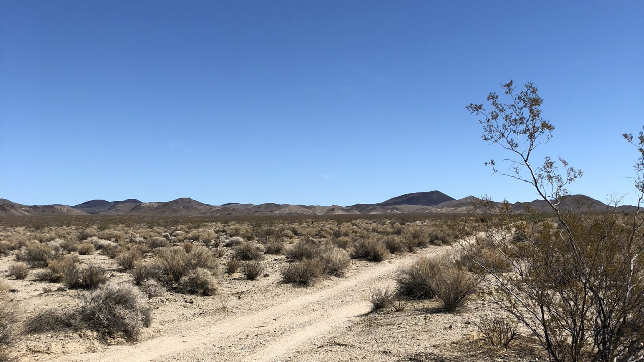 Unis, Le Désert De Mojave, Environnement Naturel, Plante de la Communauté, Sand. Wallpaper in 1280x720 Resolution