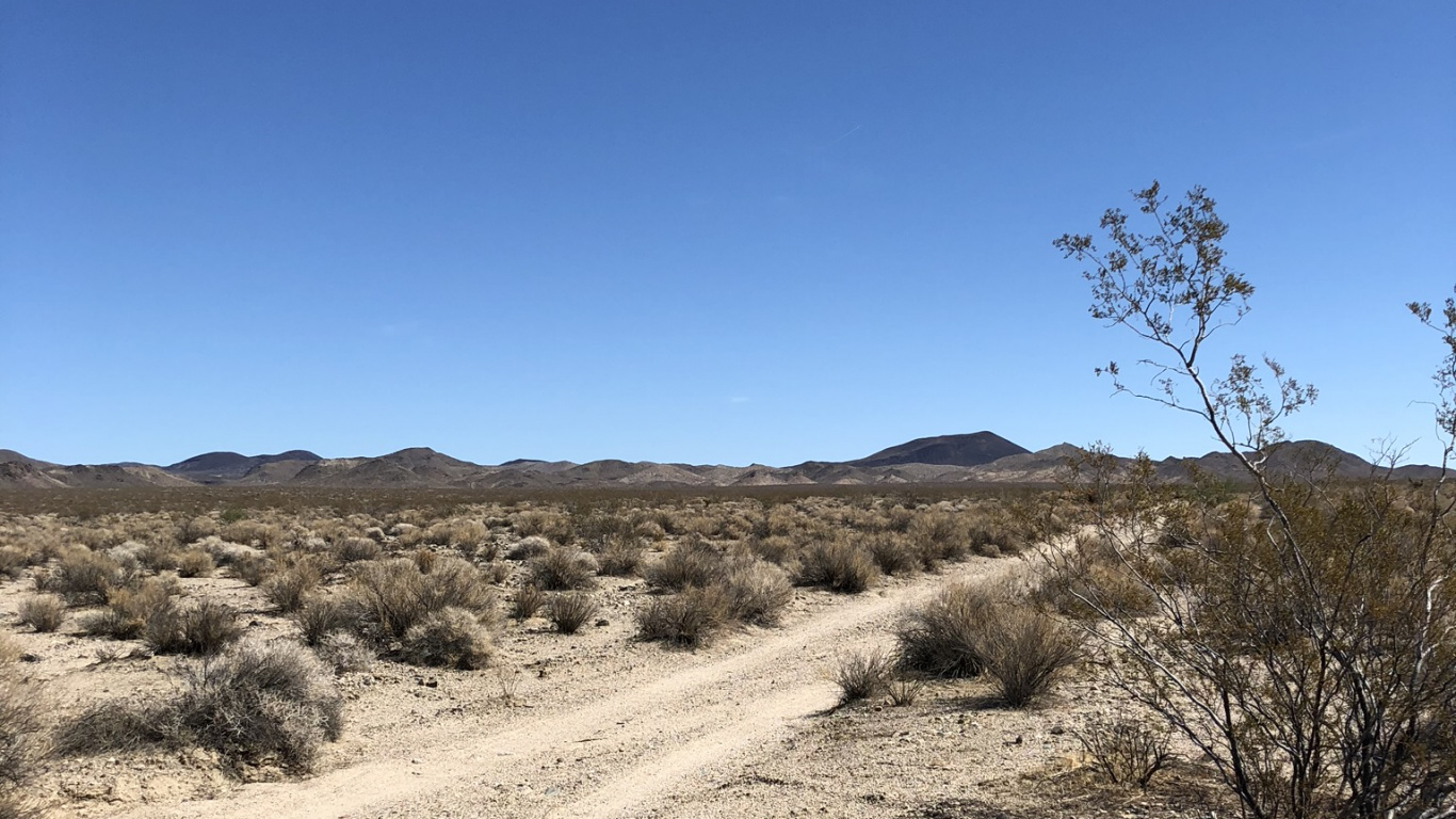 Usa, Mojave Desert, Natural Environment, Plant Community, Landscape. Wallpaper in 1366x768 Resolution