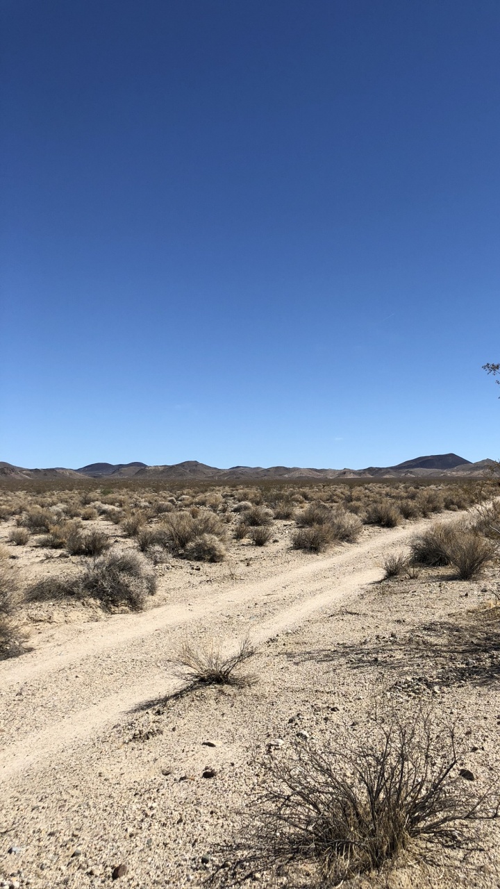Usa, Mojave Desert, Natural Environment, Plant Community, Landscape. Wallpaper in 720x1280 Resolution