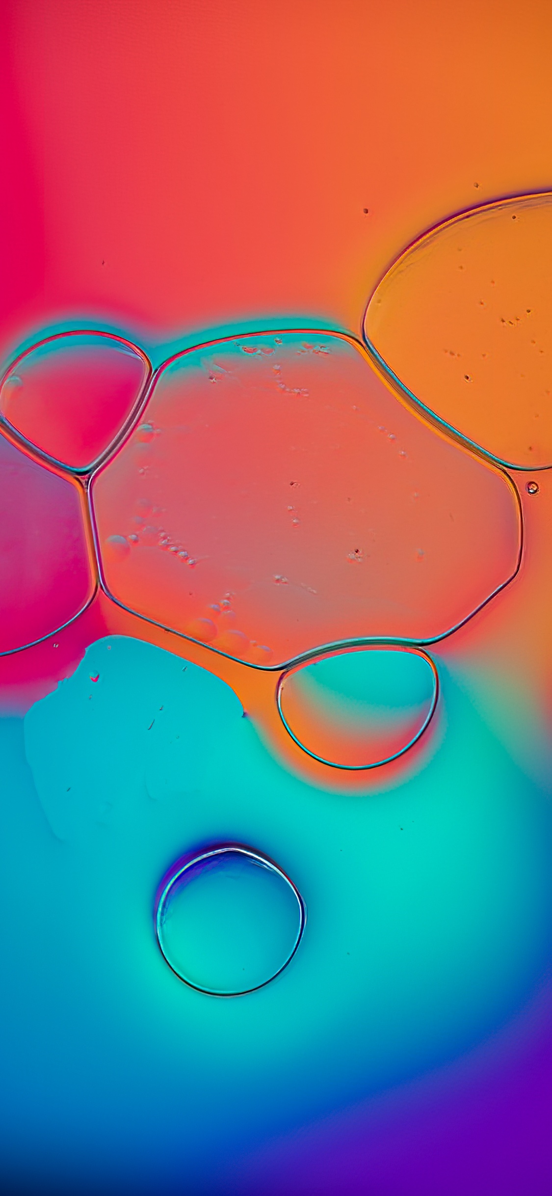 Water, Glasses, Colorfulness, Orange, Eyewear. Wallpaper in 1125x2436 Resolution