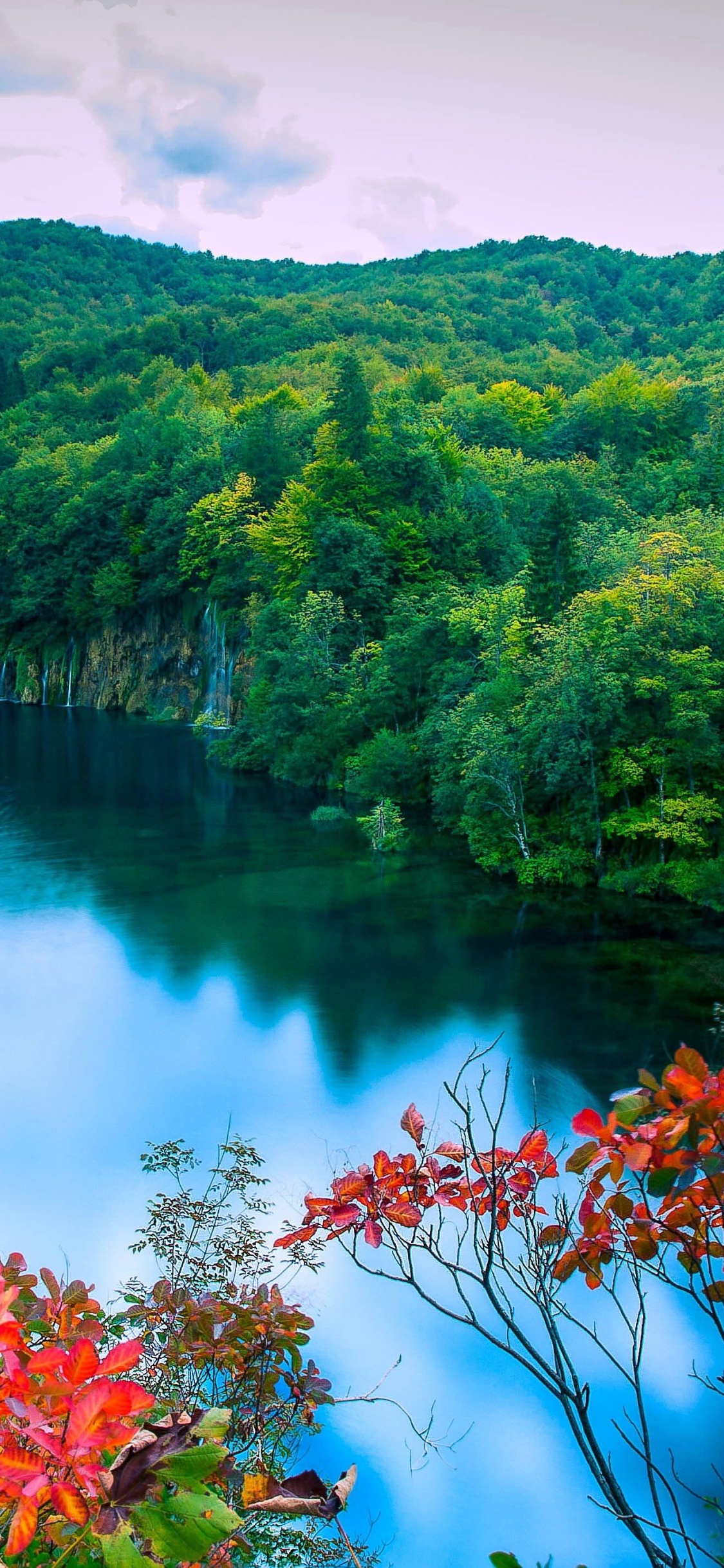 Grüne Und Rote Bäume Neben Dem Fluss Unter Blauem Himmel Tagsüber During. Wallpaper in 1125x2436 Resolution