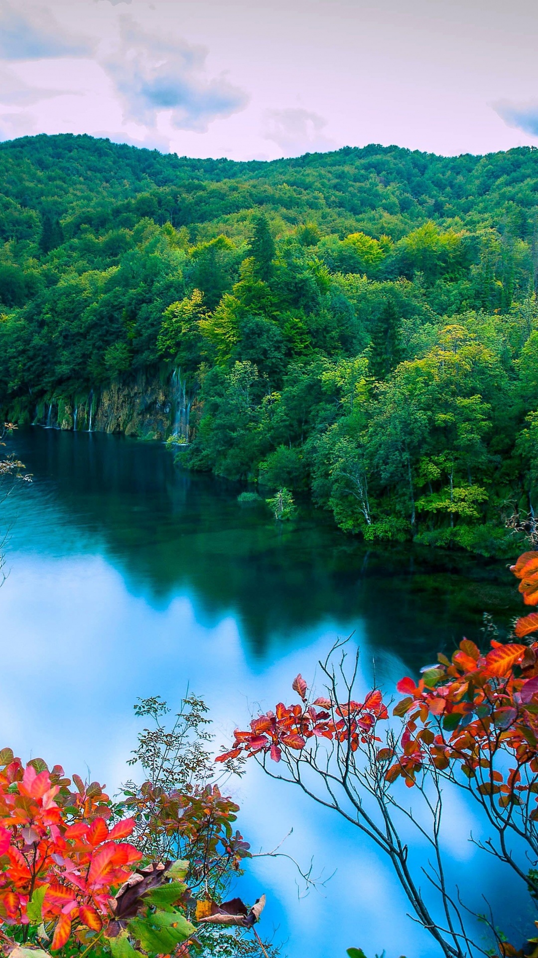 Green and Red Trees Beside River Under Blue Sky During Daytime. Wallpaper in 1080x1920 Resolution