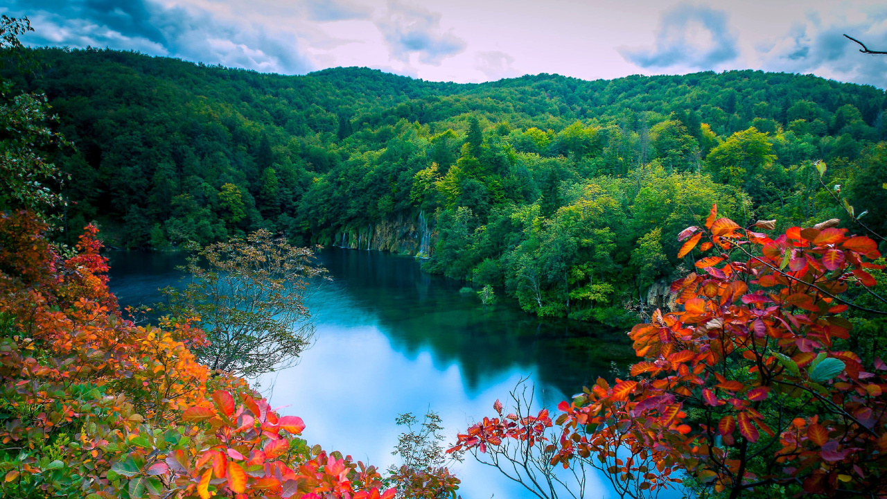 Green and Red Trees Beside River Under Blue Sky During Daytime. Wallpaper in 1280x720 Resolution