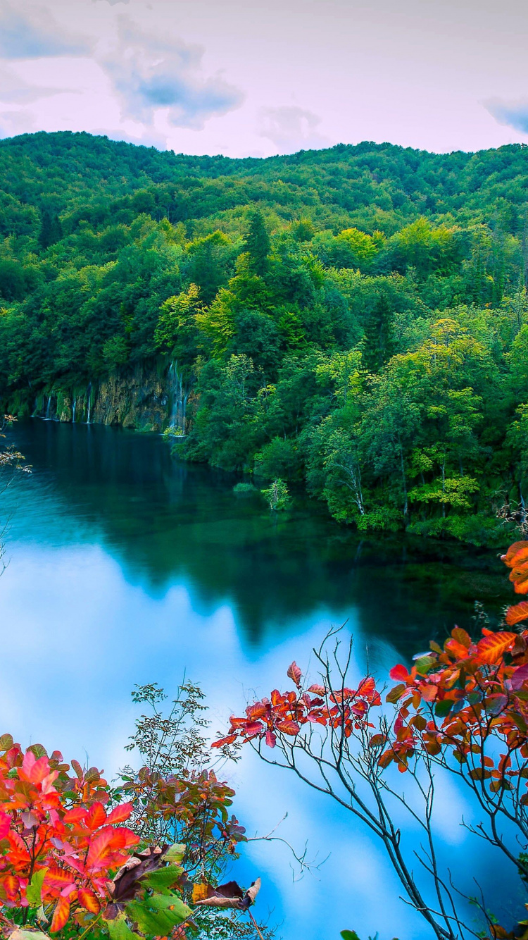 Green and Red Trees Beside River Under Blue Sky During Daytime. Wallpaper in 750x1334 Resolution