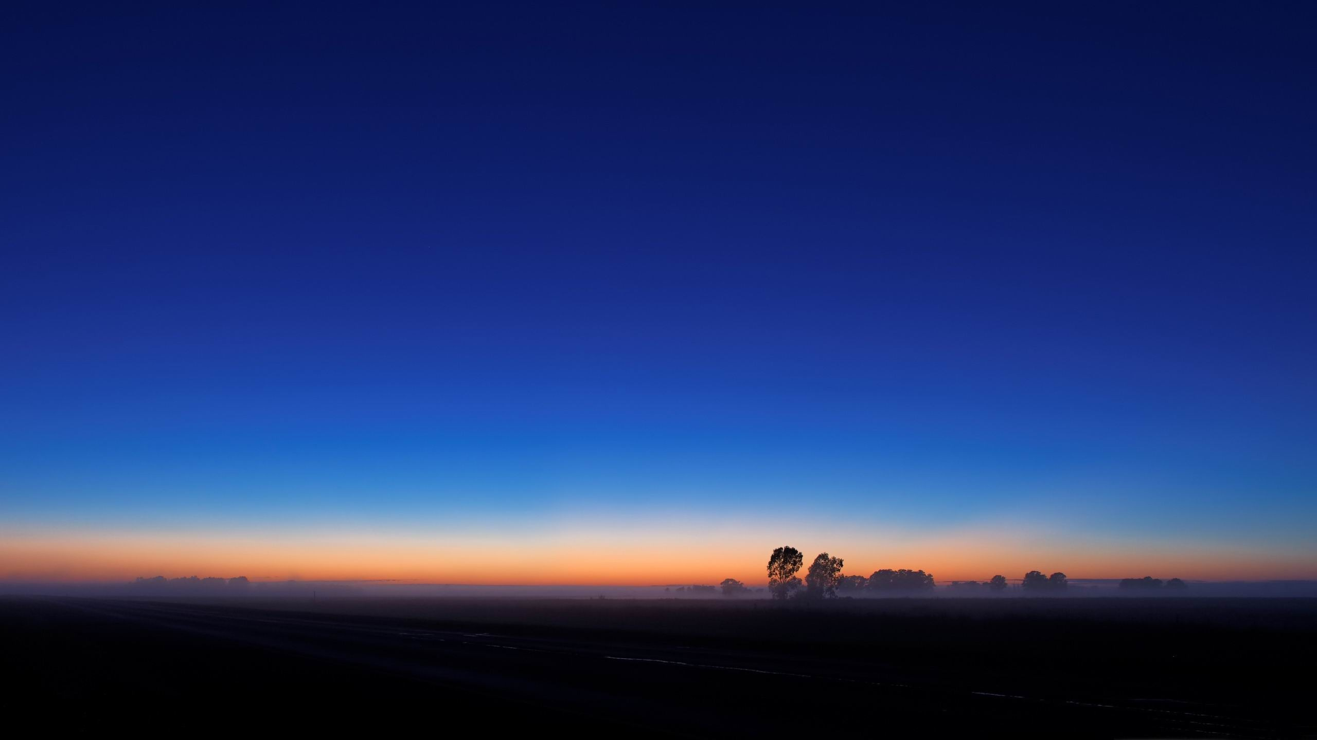 Silhouette of Person Walking on Sand During Sunset. Wallpaper in 2560x1440 Resolution