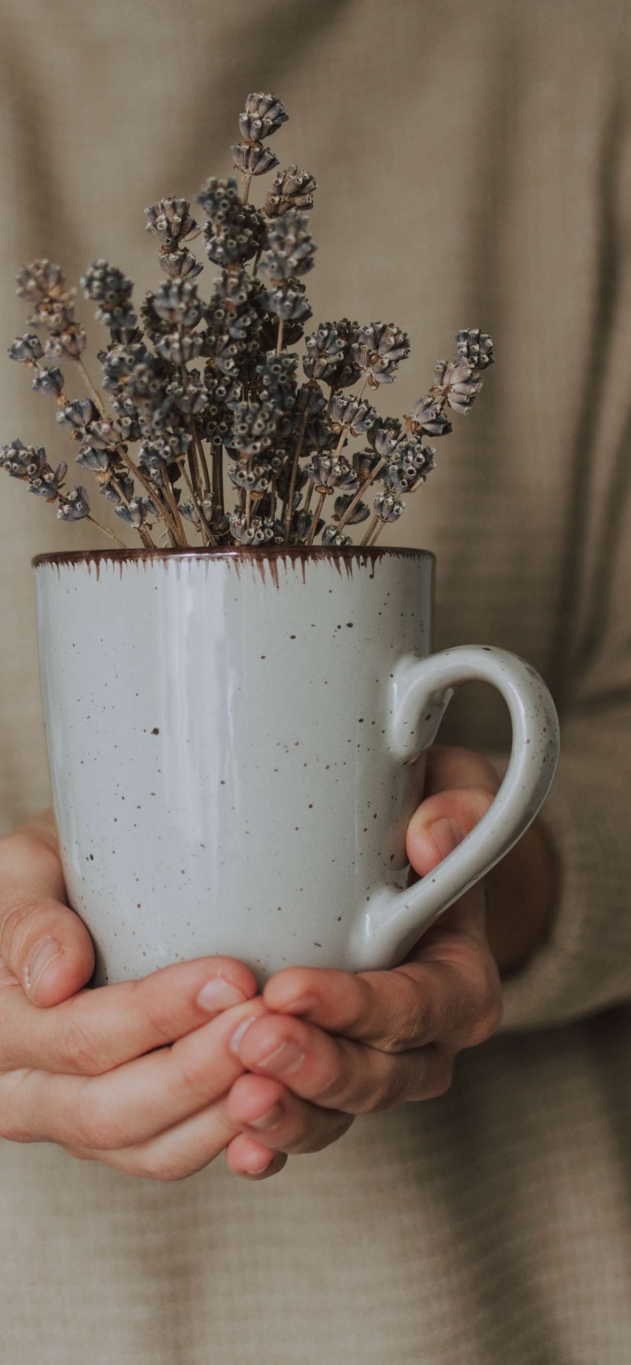 Person Holding White Ceramic Mug With Brown and White Flowers. Wallpaper in 1242x2688 Resolution