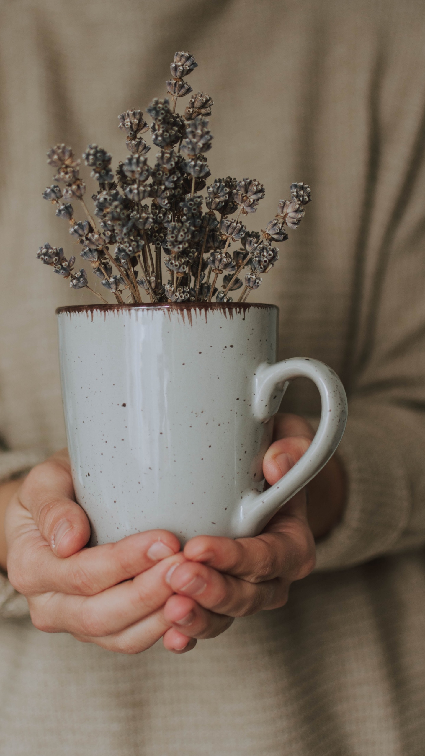 Person Holding White Ceramic Mug With Brown and White Flowers. Wallpaper in 1440x2560 Resolution