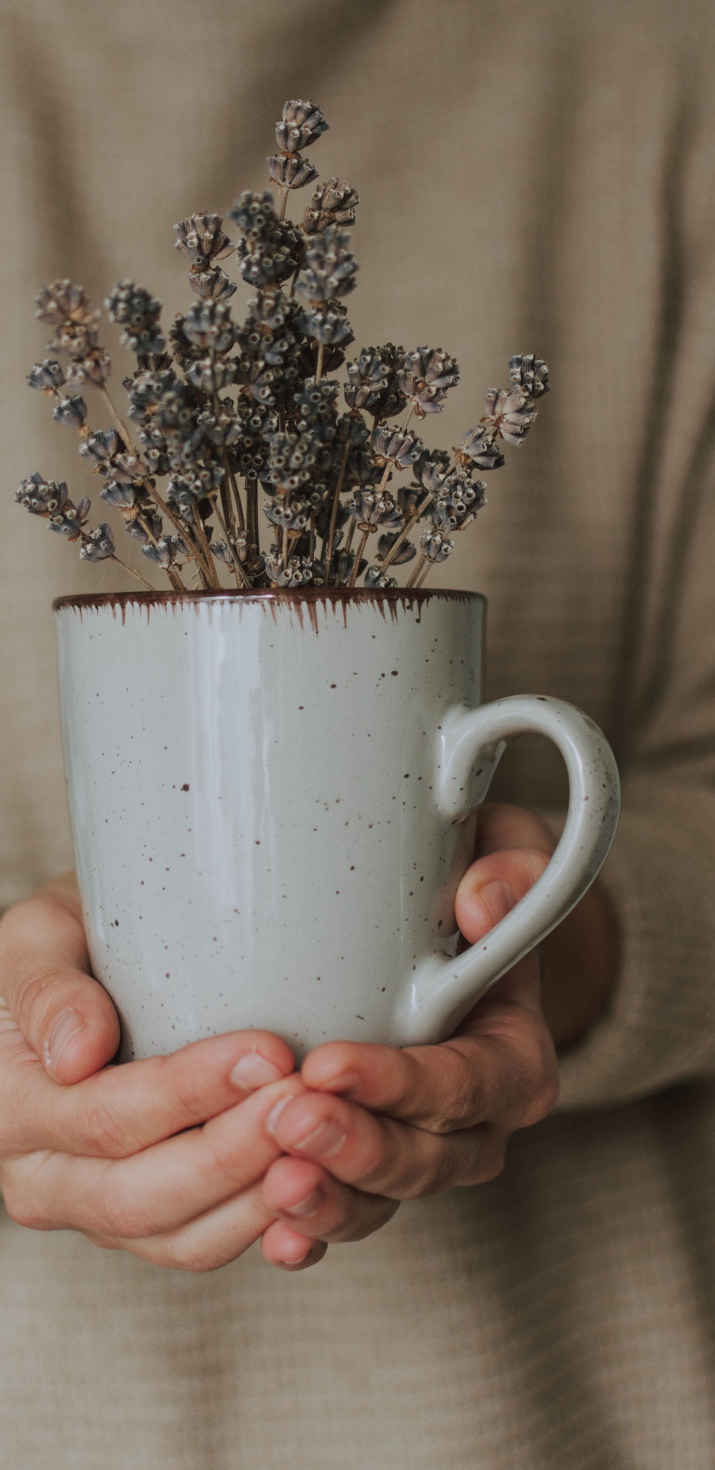 Person Holding White Ceramic Mug With Brown and White Flowers. Wallpaper in 1440x2960 Resolution