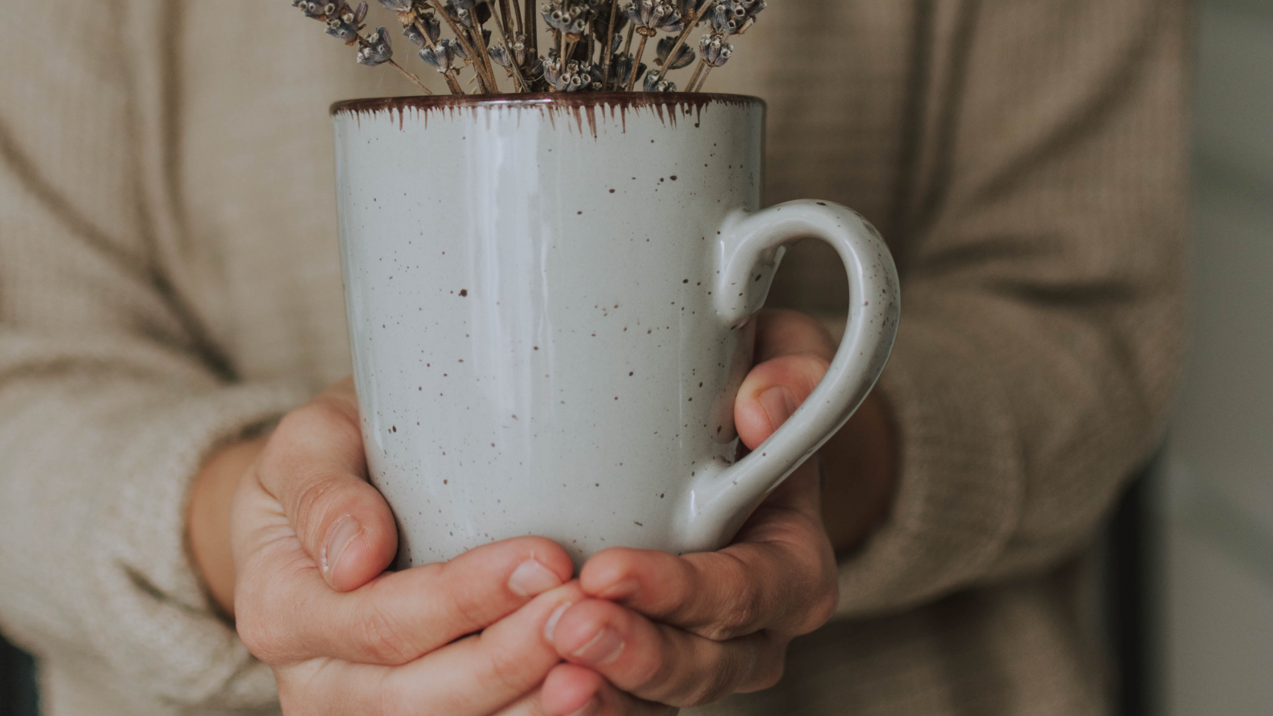Person Holding White Ceramic Mug With Brown and White Flowers. Wallpaper in 2560x1440 Resolution