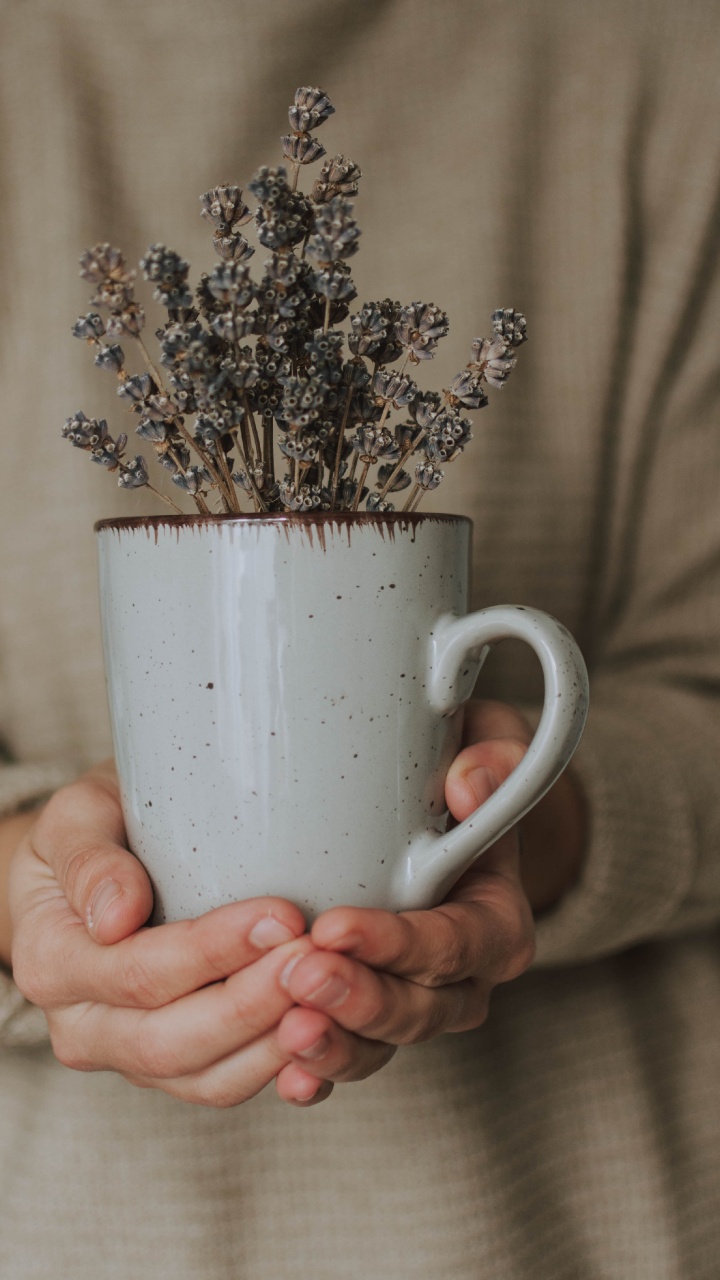 Person Holding White Ceramic Mug With Brown and White Flowers. Wallpaper in 720x1280 Resolution