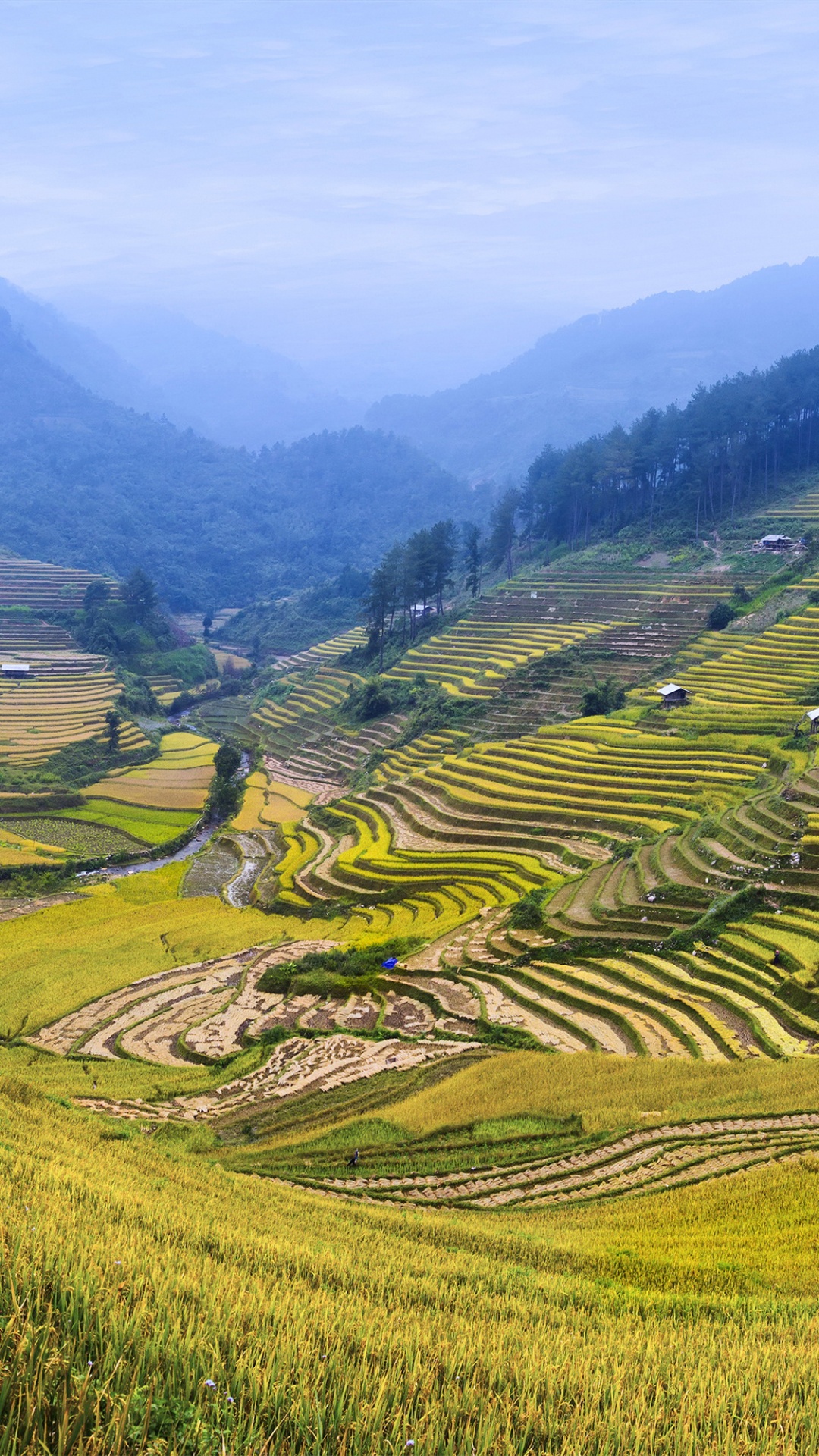 Tagsüber Grüne Wiese Unter Weißem Himmel. Wallpaper in 1080x1920 Resolution