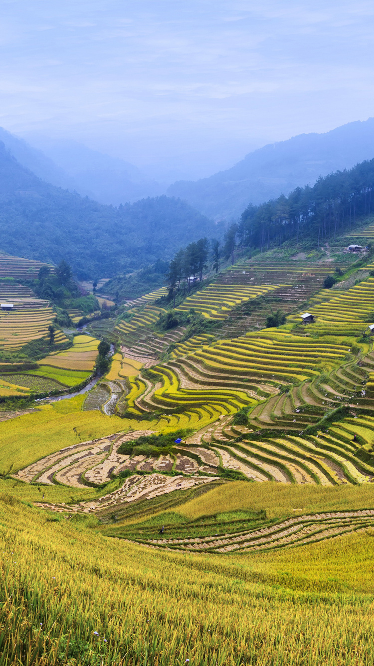 Tagsüber Grüne Wiese Unter Weißem Himmel. Wallpaper in 750x1334 Resolution