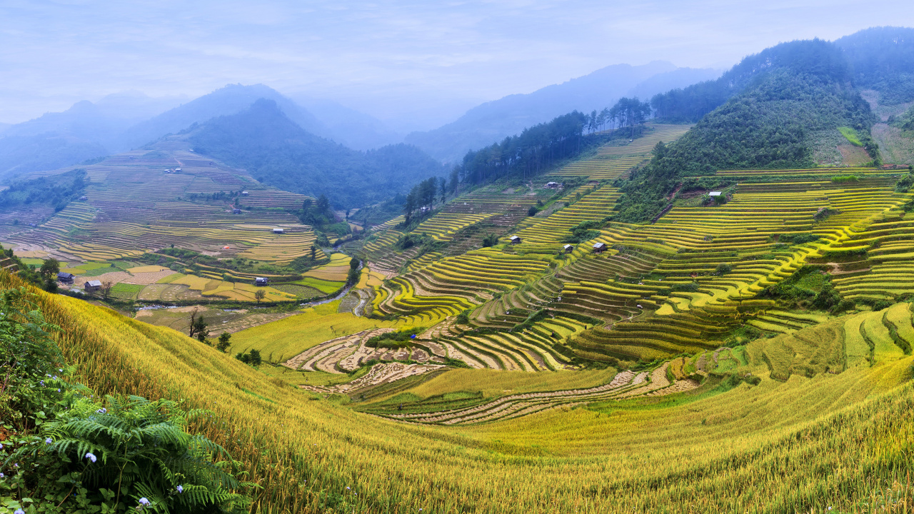 高地, 露台, 山站, 稻田, 植被 壁纸 1280x720 允许