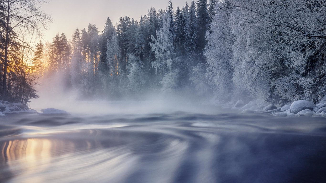 Cold, Water, Atmosphere, Natural Landscape, Tree. Wallpaper in 1366x768 Resolution