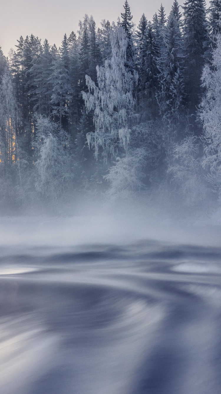 Kälte, Wasser, Atmosphäre, Naturlandschaft, Baum. Wallpaper in 750x1334 Resolution