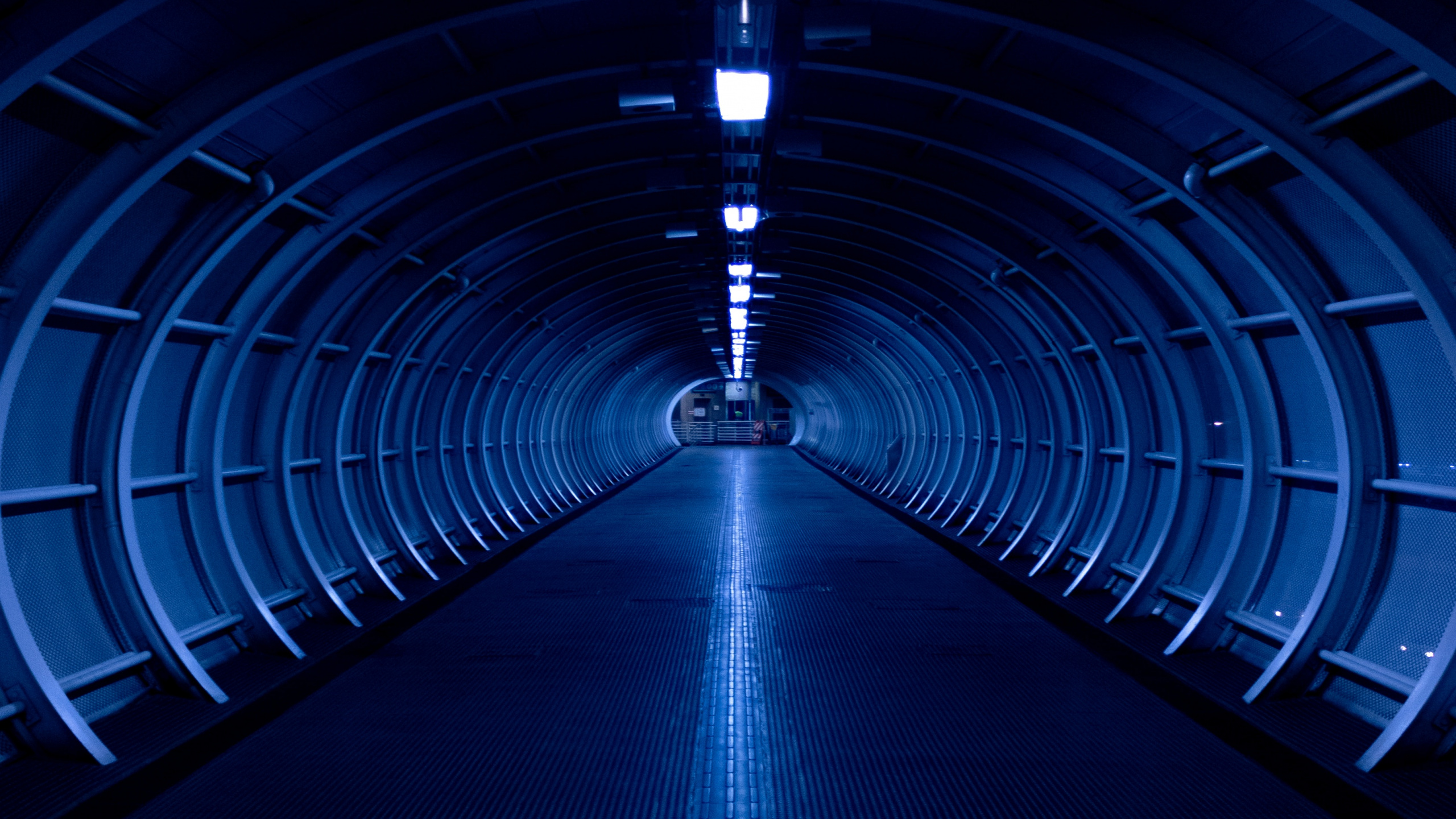 Blau-weißer Tunnel Mit Lichtern. Wallpaper in 2560x1440 Resolution