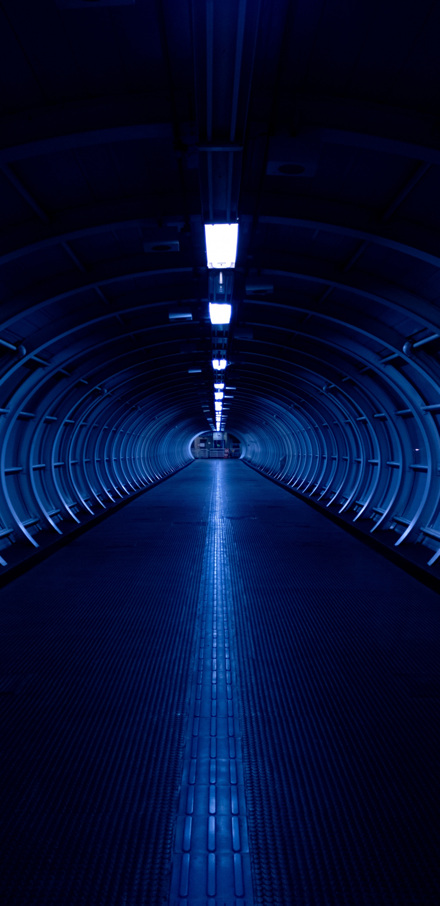 Blue and White Tunnel With Lights. Wallpaper in 1440x2960 Resolution