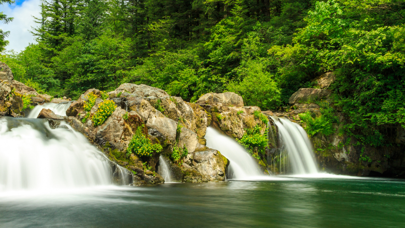 Waterfalls in The Middle of Green Trees During Daytime. Wallpaper in 1366x768 Resolution