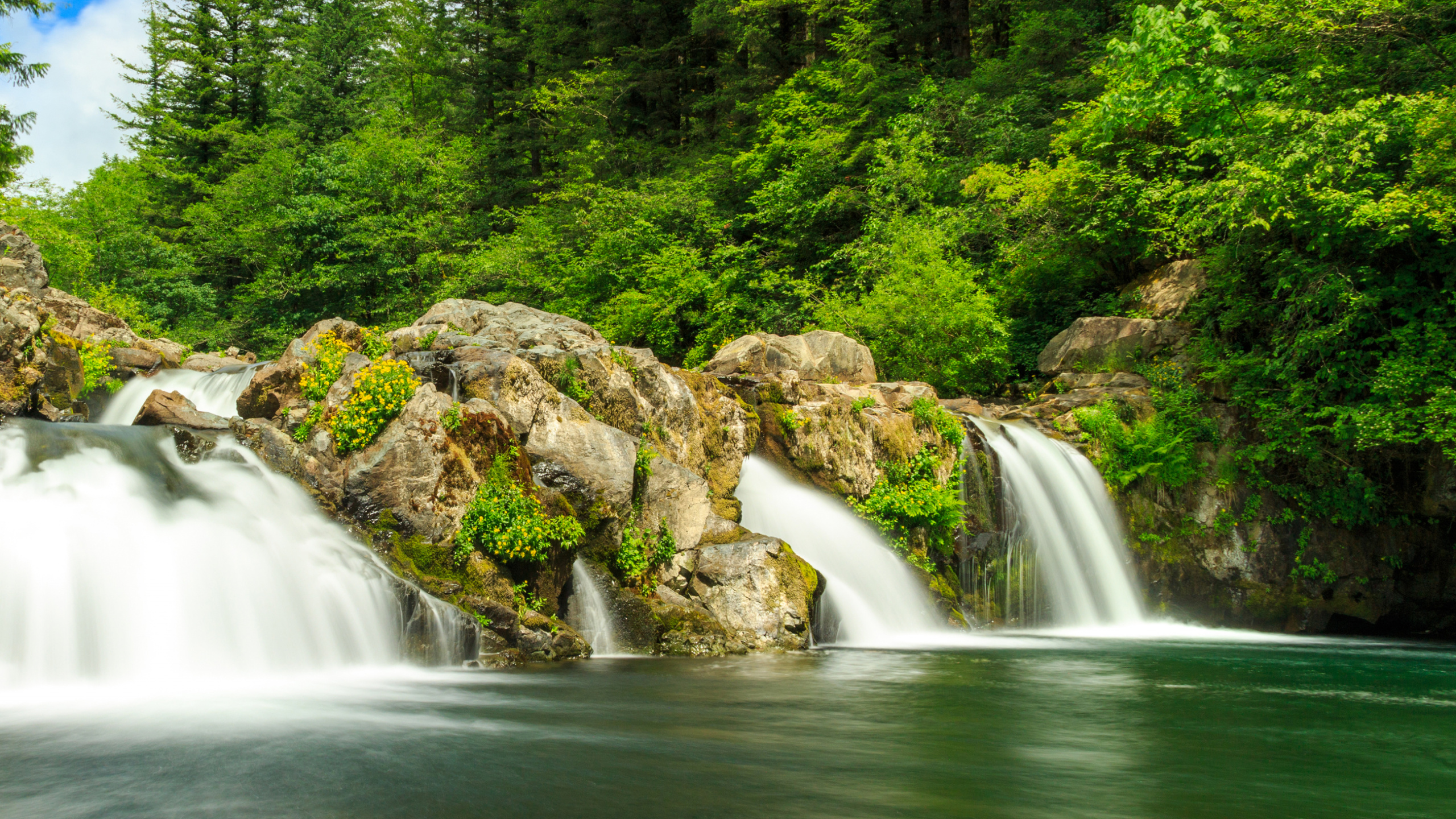 Waterfalls in The Middle of Green Trees During Daytime. Wallpaper in 2560x1440 Resolution