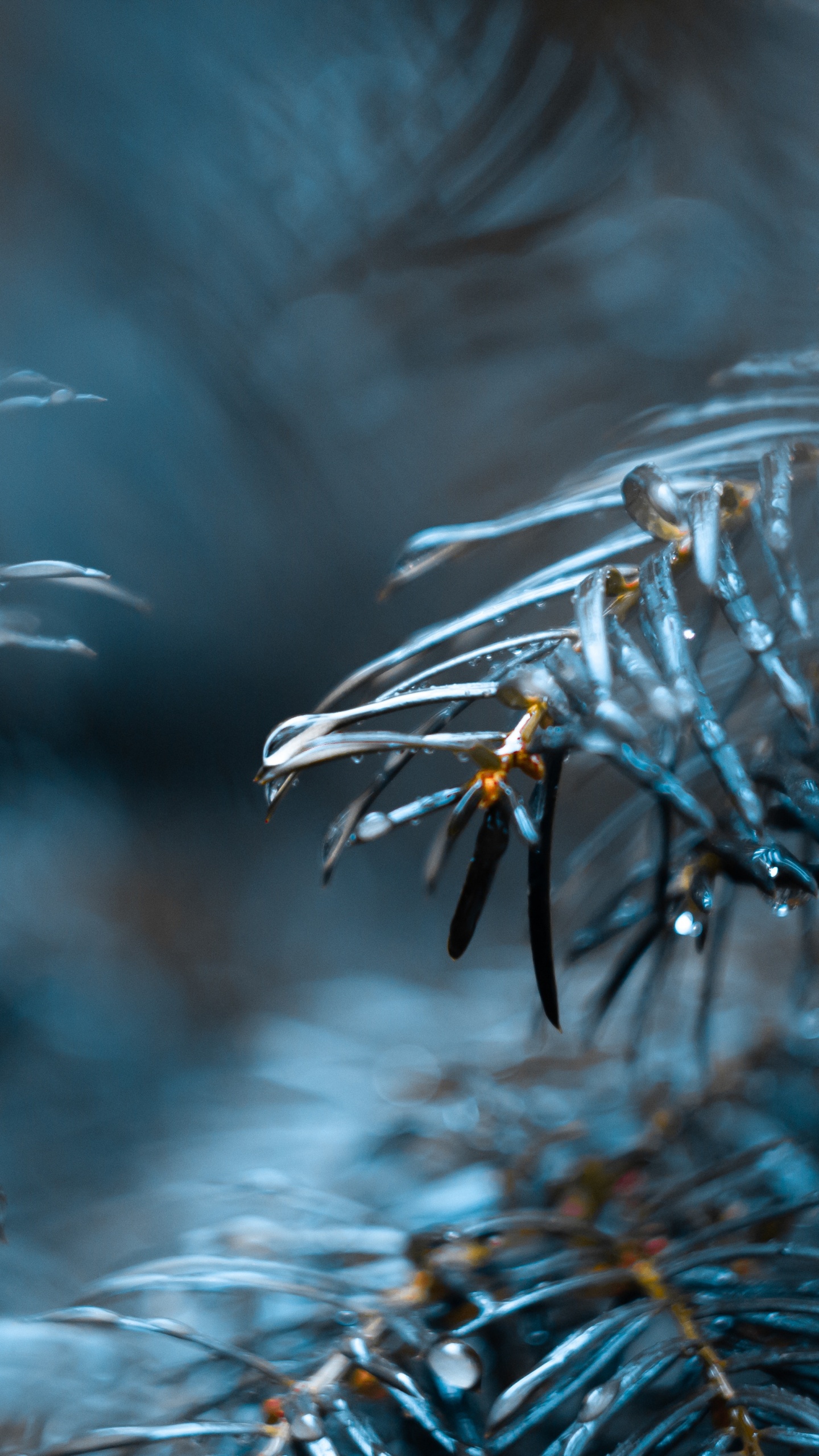 Wasser, Baum, Blau, Einfrieren, Fabrik. Wallpaper in 1440x2560 Resolution