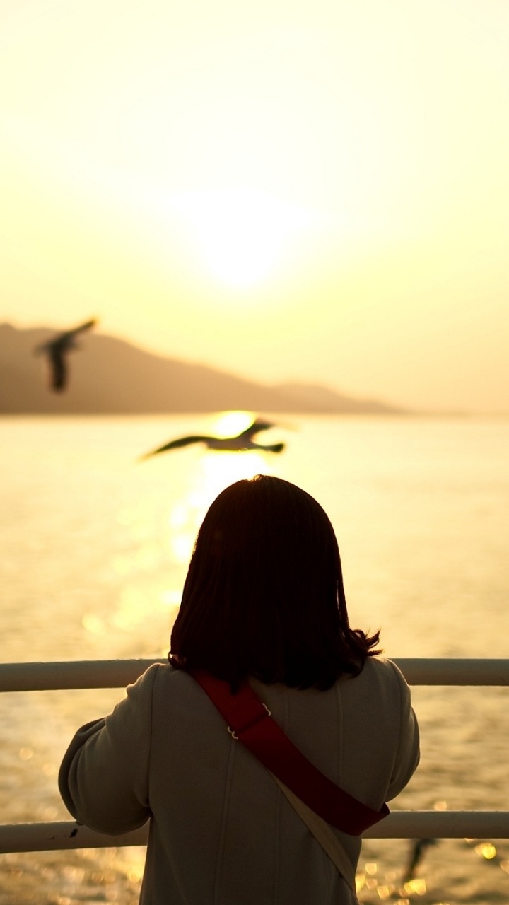 Eau, Oiseau, D'oiseaux de Mer, Matin, Mer. Wallpaper in 720x1280 Resolution