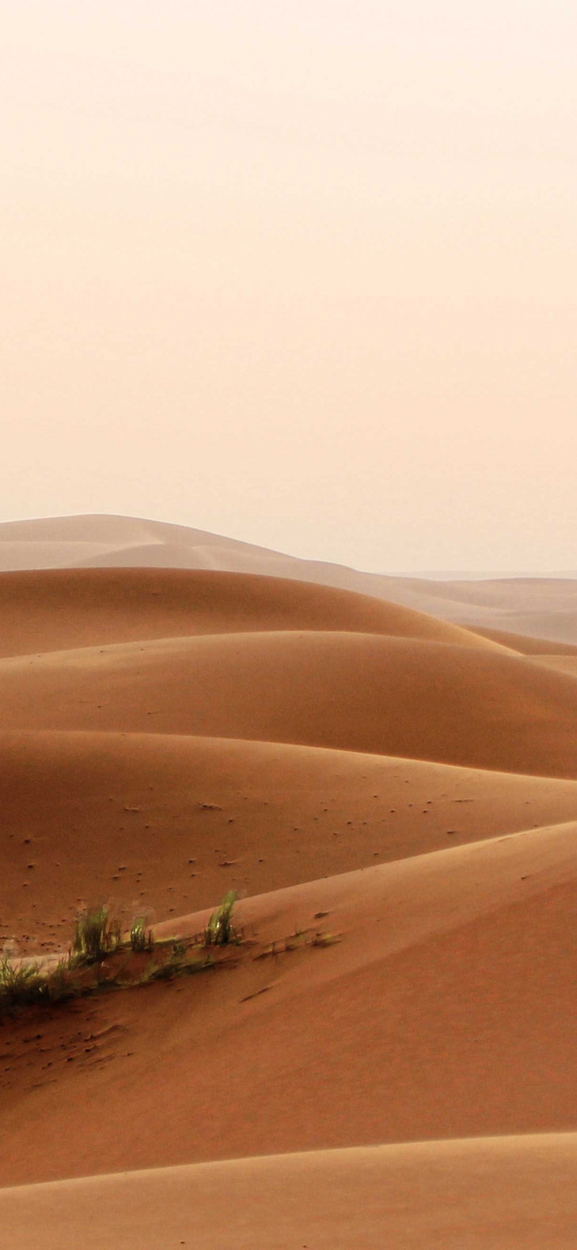 Persona Caminando en el Desierto Durante el Día. Wallpaper in 1125x2436 Resolution