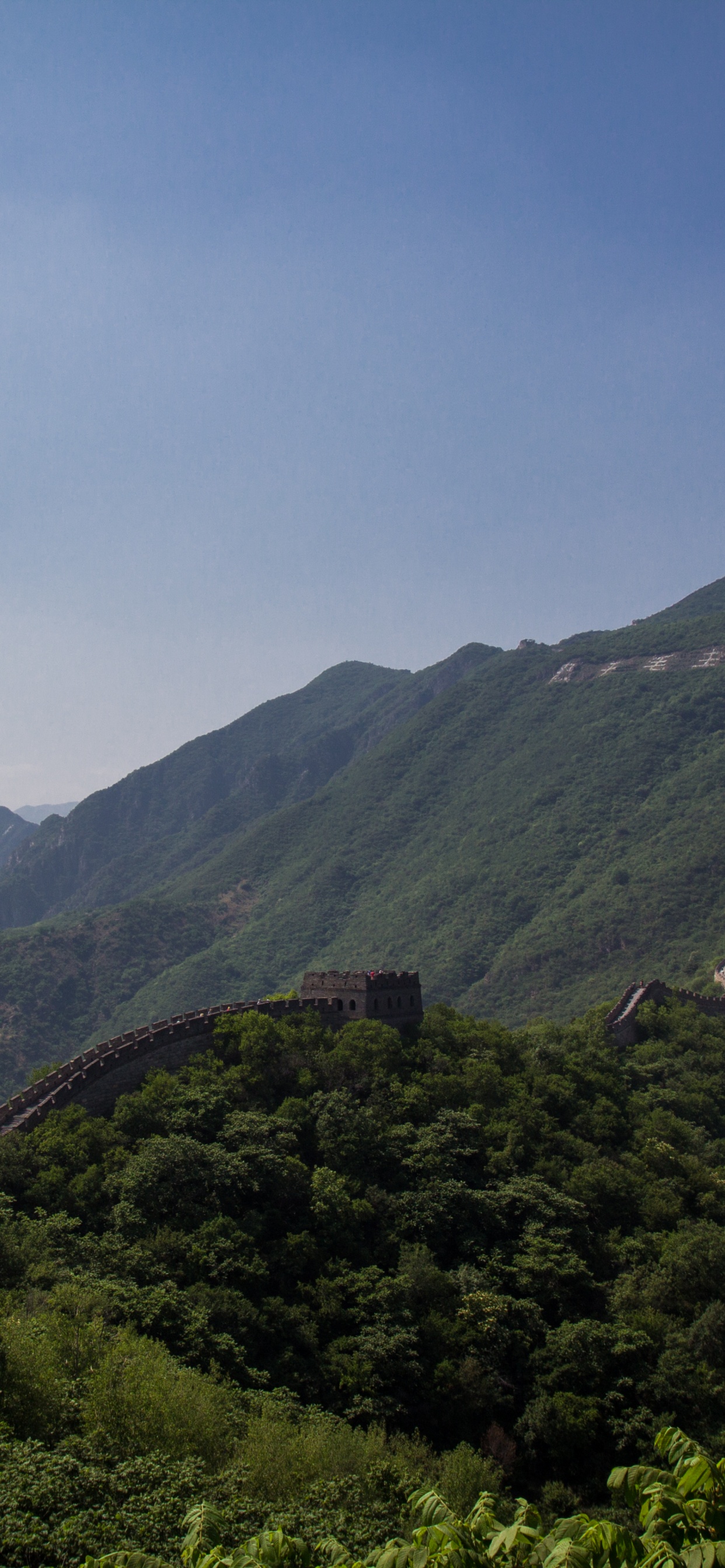 中国的长城, 多山的地貌, 山站, 高地, 植被 壁纸 1242x2688 允许