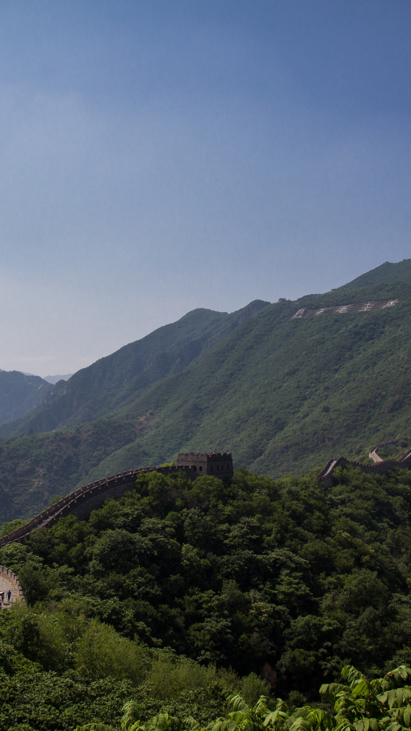 中国的长城, 多山的地貌, 山站, 高地, 植被 壁纸 1440x2560 允许