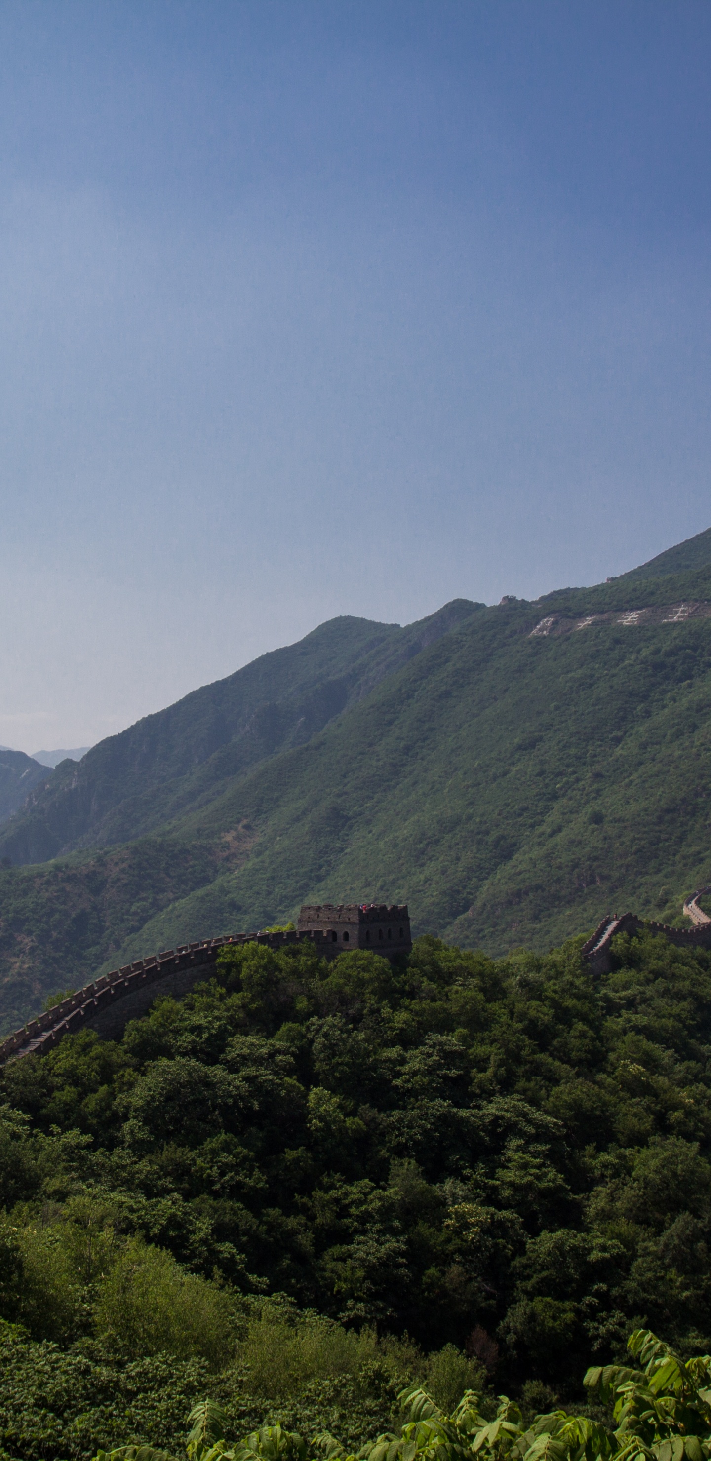 中国的长城, 多山的地貌, 山站, 高地, 植被 壁纸 1440x2960 允许