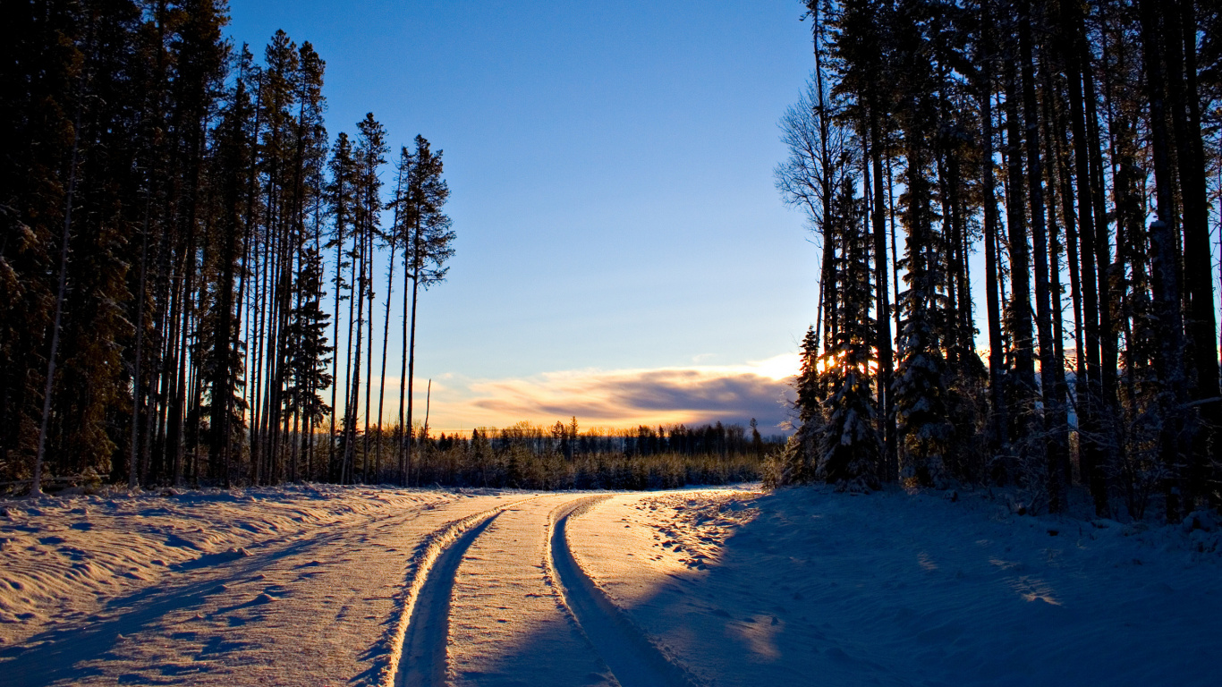 Snow Covered Road Between Trees During Sunset. Wallpaper in 1366x768 Resolution