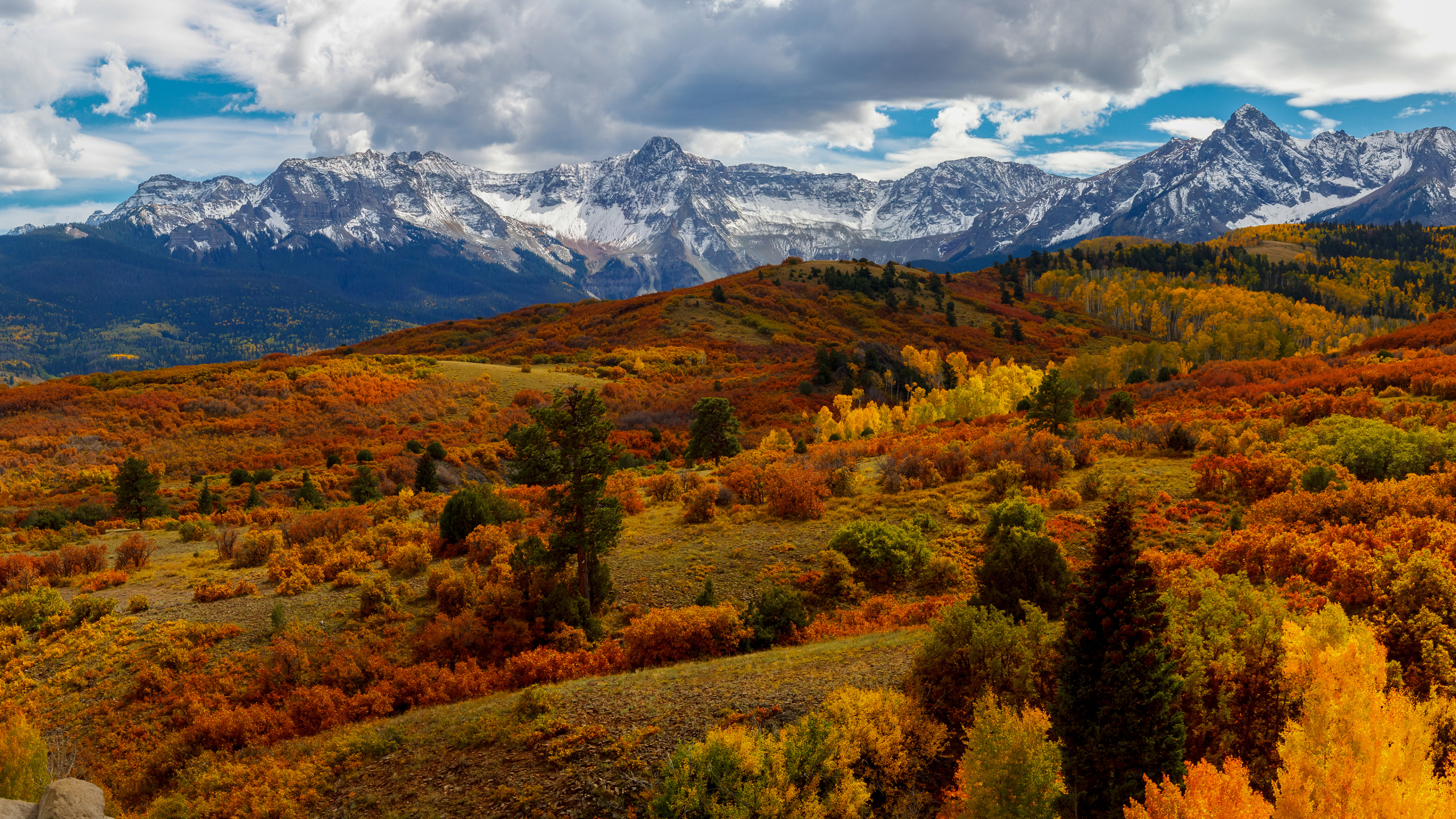 Nature, Mountain, Cloud, Plant, Leaf. Wallpaper in 2560x1440 Resolution