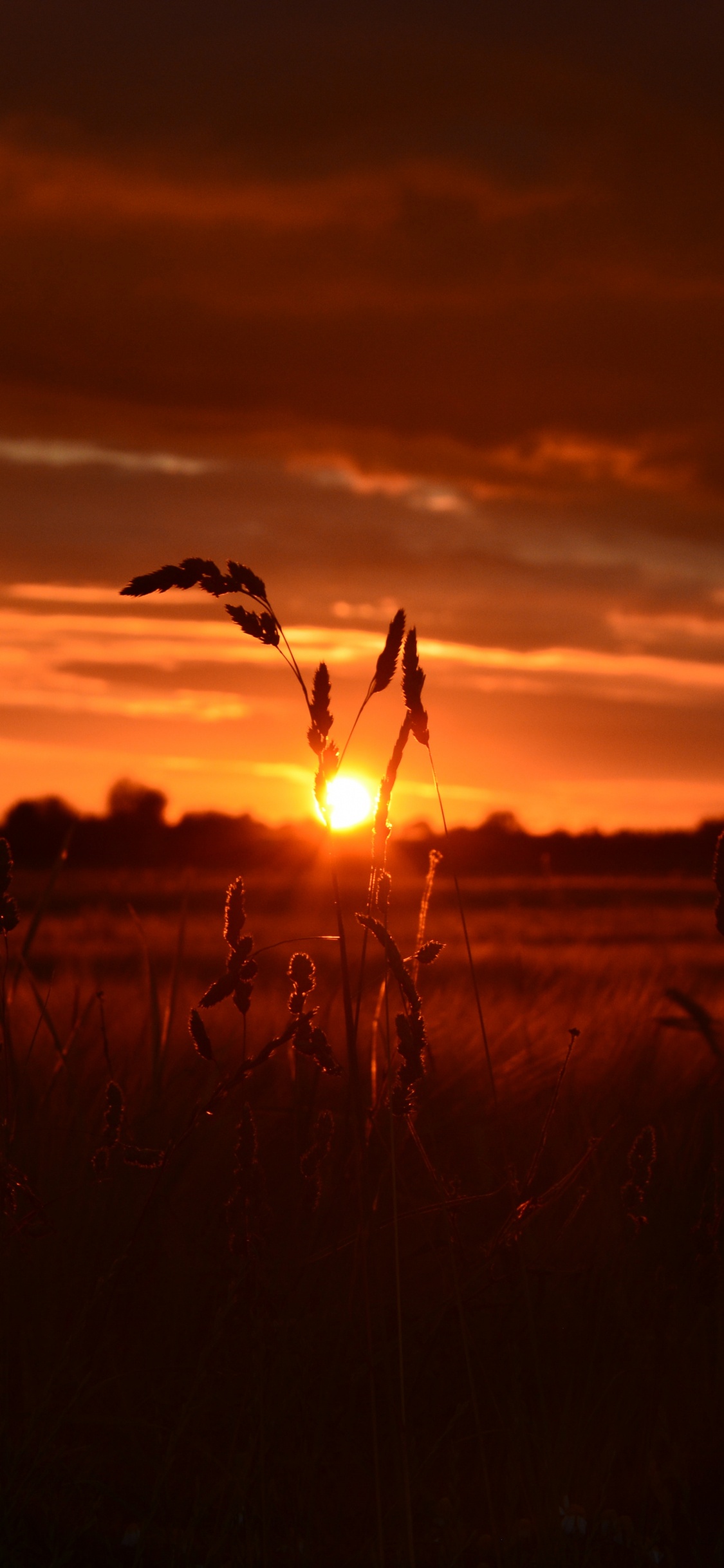 Puesta, Afterglow, Noche, Sol, Atardecer. Wallpaper in 1125x2436 Resolution