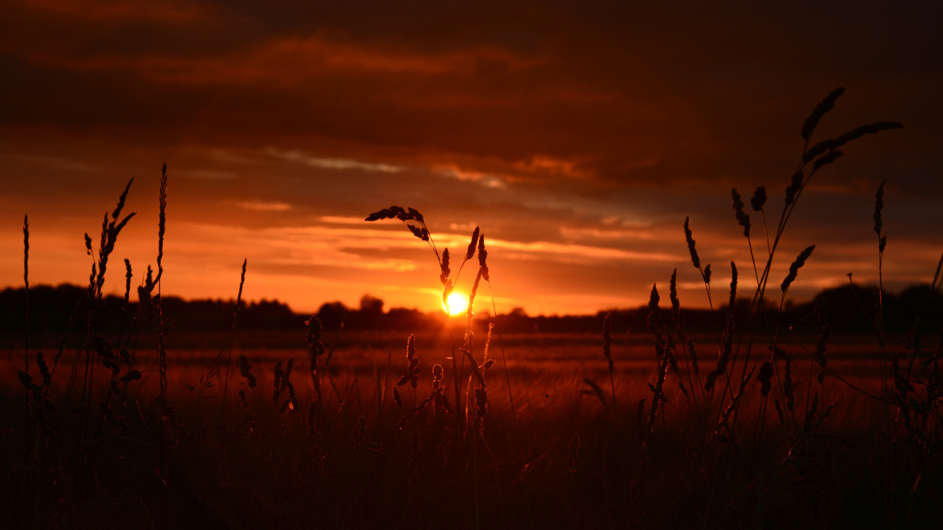 Puesta, Afterglow, Noche, Sol, Atardecer. Wallpaper in 1366x768 Resolution