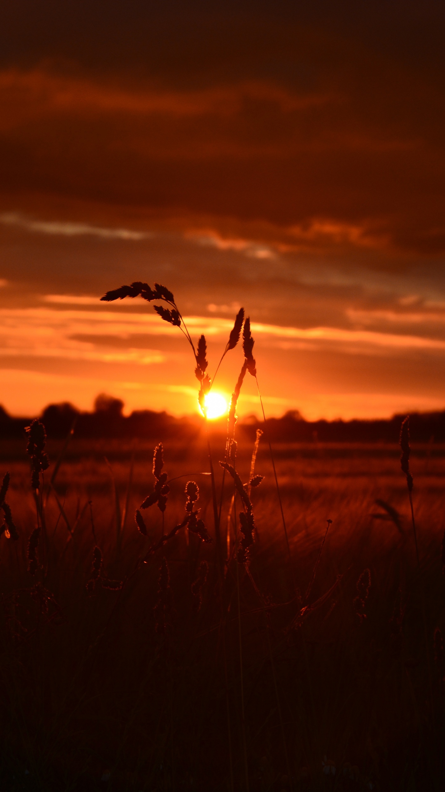 Puesta, Afterglow, Noche, Sol, Atardecer. Wallpaper in 1440x2560 Resolution