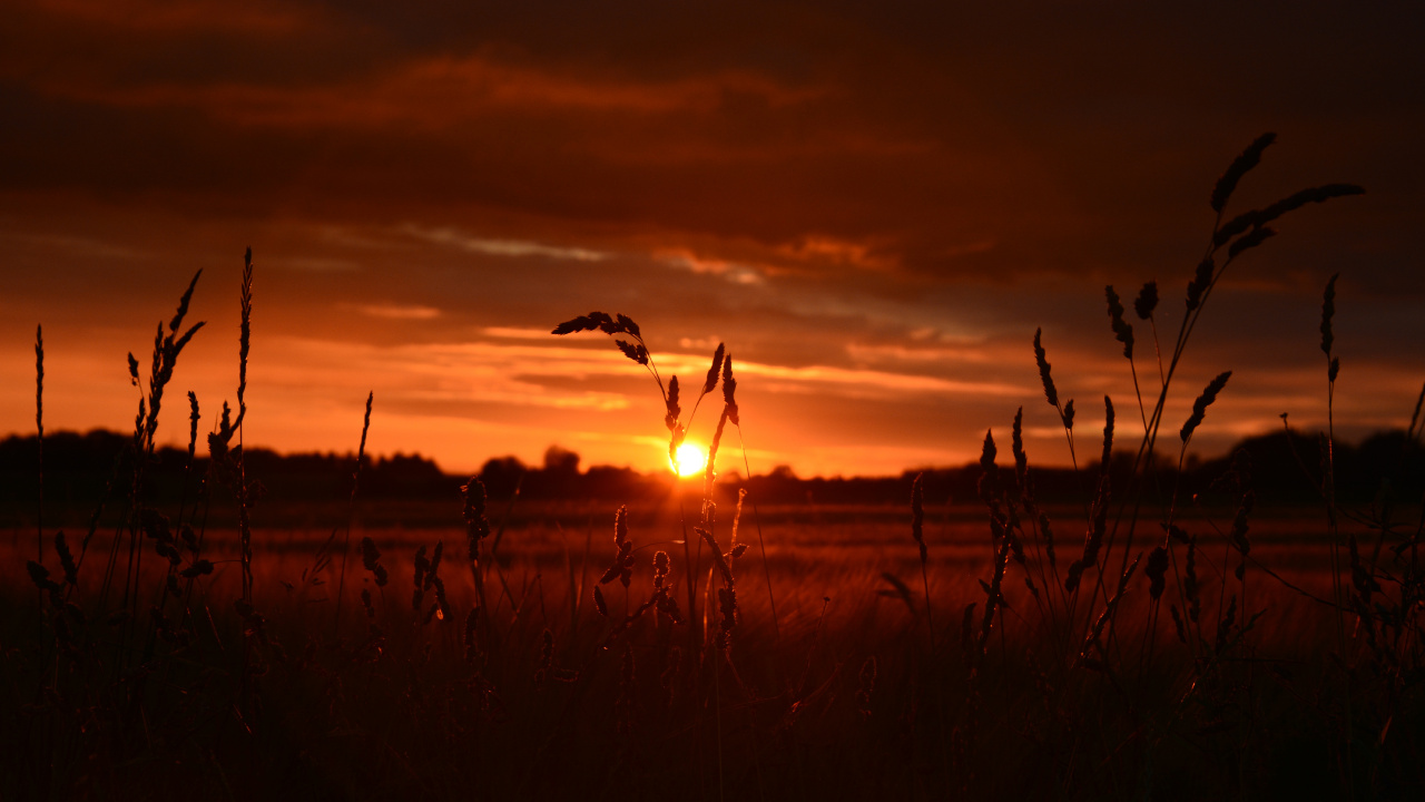 Sonnenuntergang, Sonnenaufgang, Horizont, Afterglow, Cloud. Wallpaper in 1280x720 Resolution