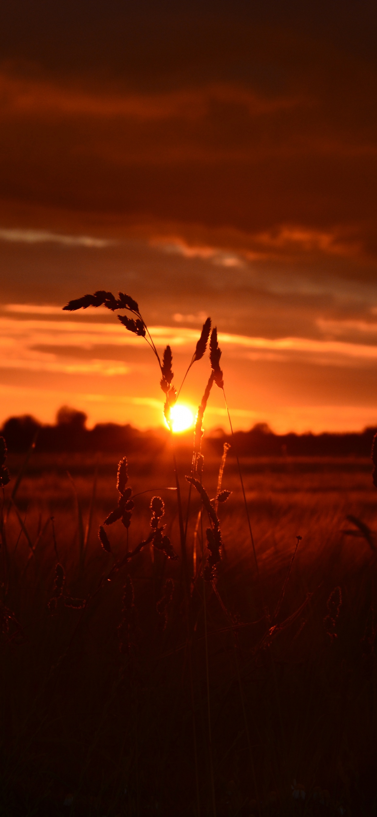 Sunset, Sunrise, Horizon, Afterglow, Cloud. Wallpaper in 1242x2688 Resolution