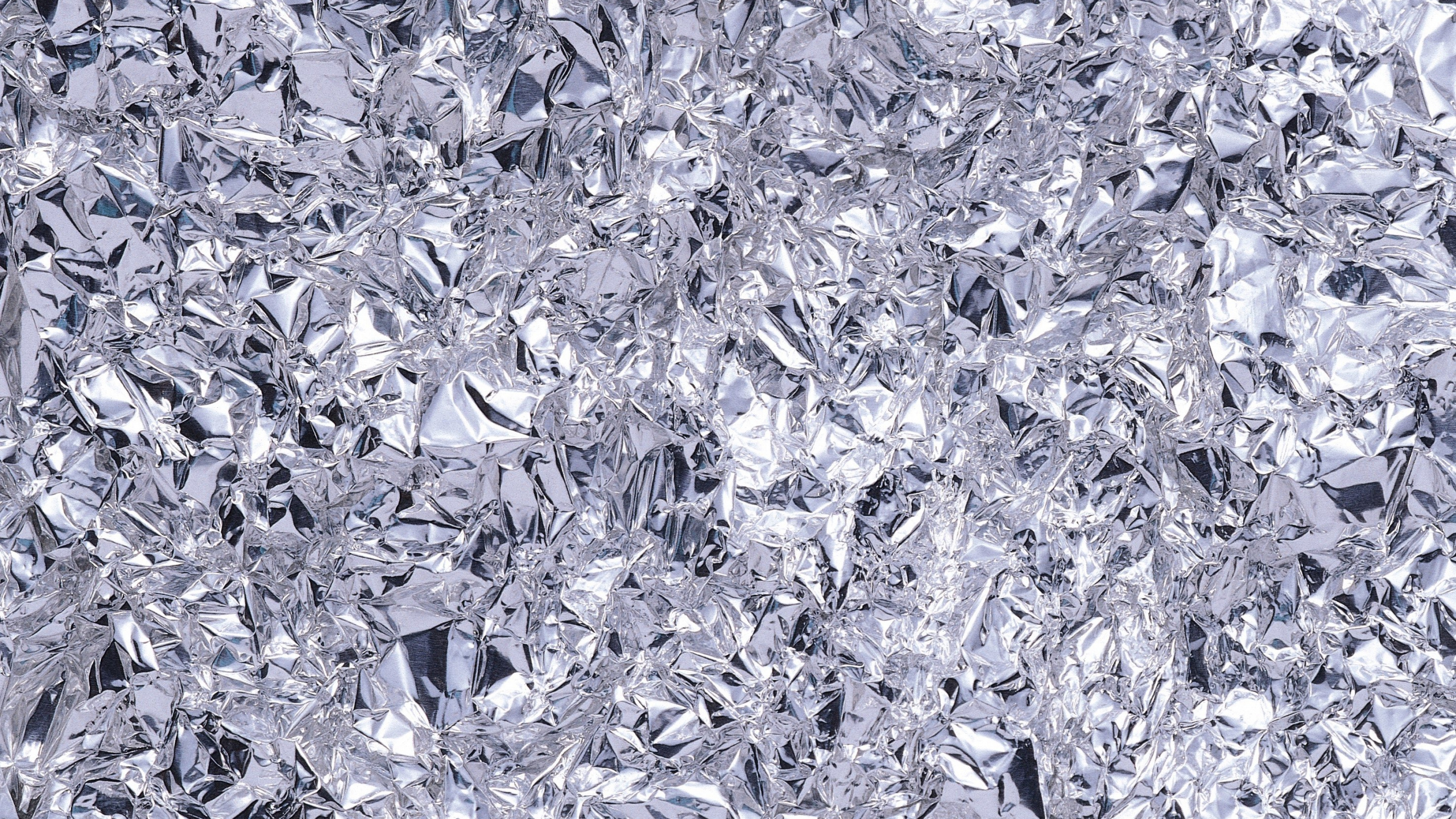 Grayscale Photo of Leaves on Ground. Wallpaper in 2560x1440 Resolution