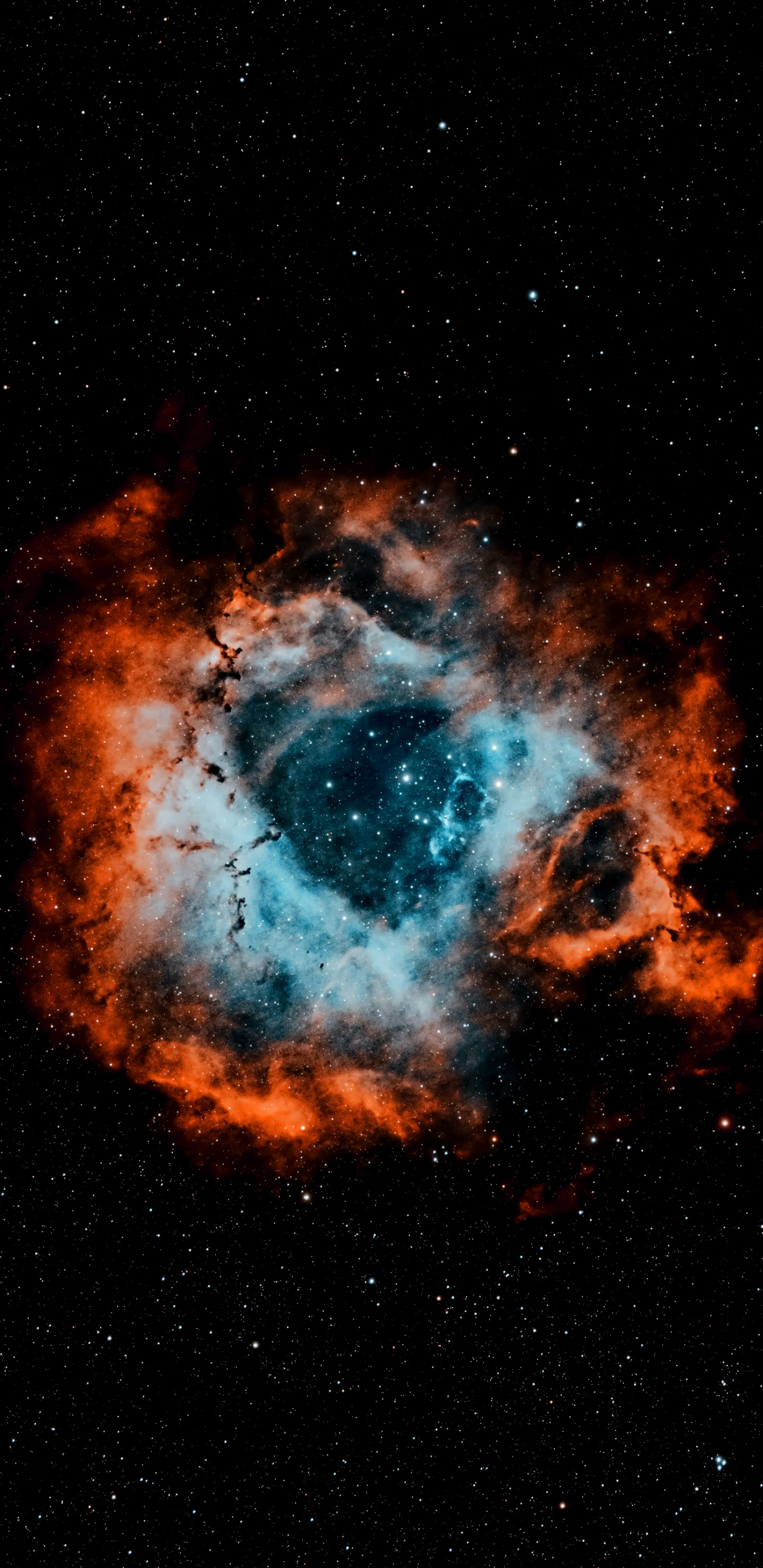 la Astronomía, Ambiente, Galaxia, Objeto Astronómico, Estrella. Wallpaper in 1440x2960 Resolution