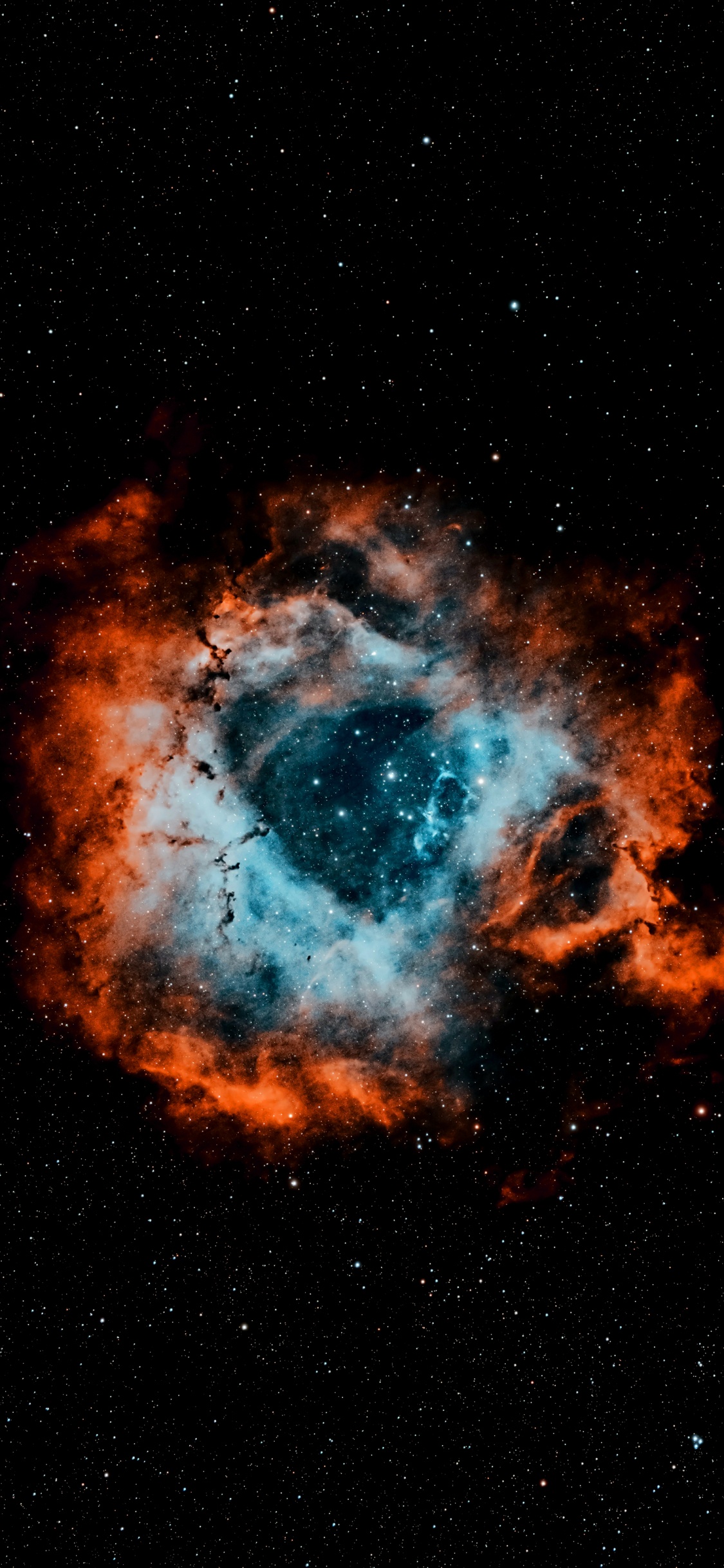 天文学, 气氛, 天文学对象, 明星, 银河系 壁纸 1125x2436 允许