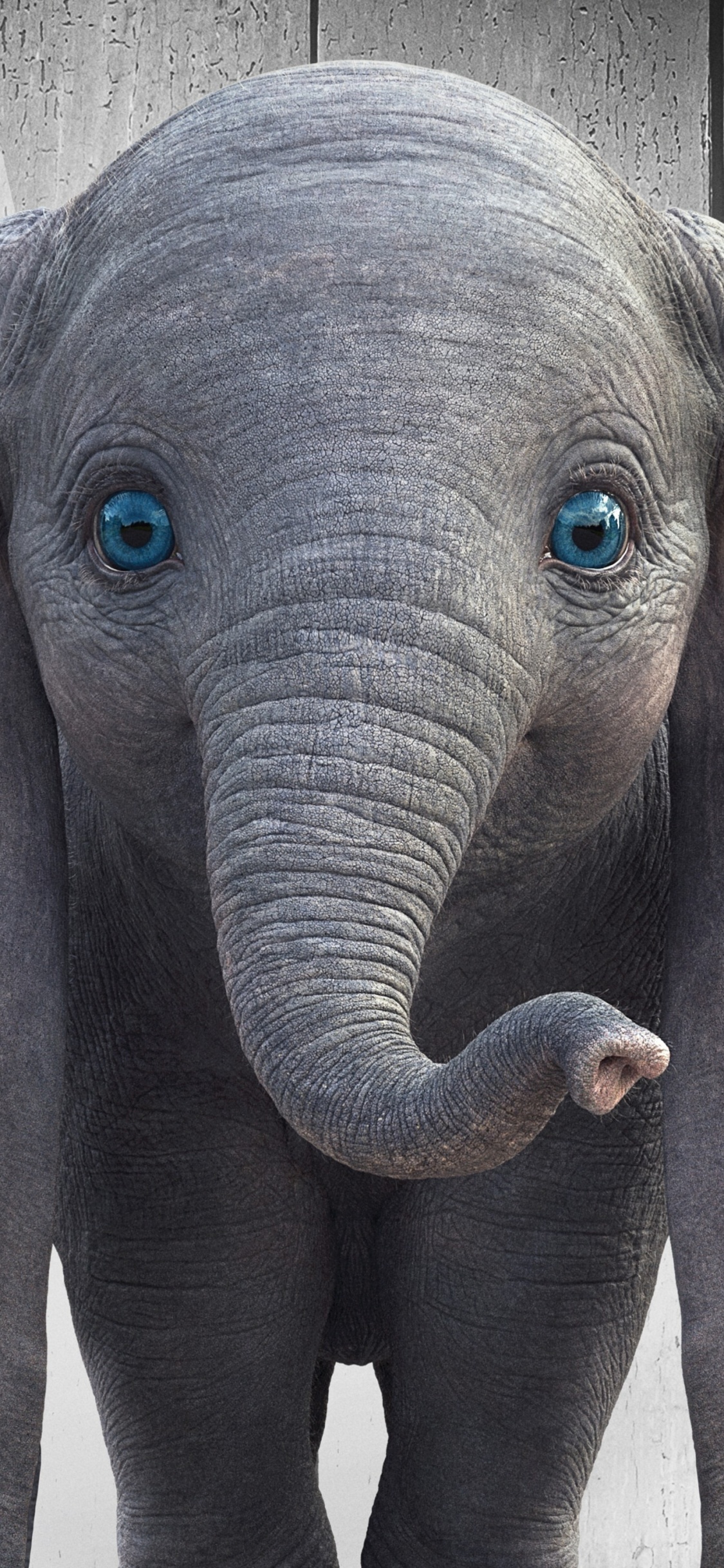 la Gentillesse, la Journée, Les Éléphants et Les Mammouths, Blue, Temple. Wallpaper in 1125x2436 Resolution