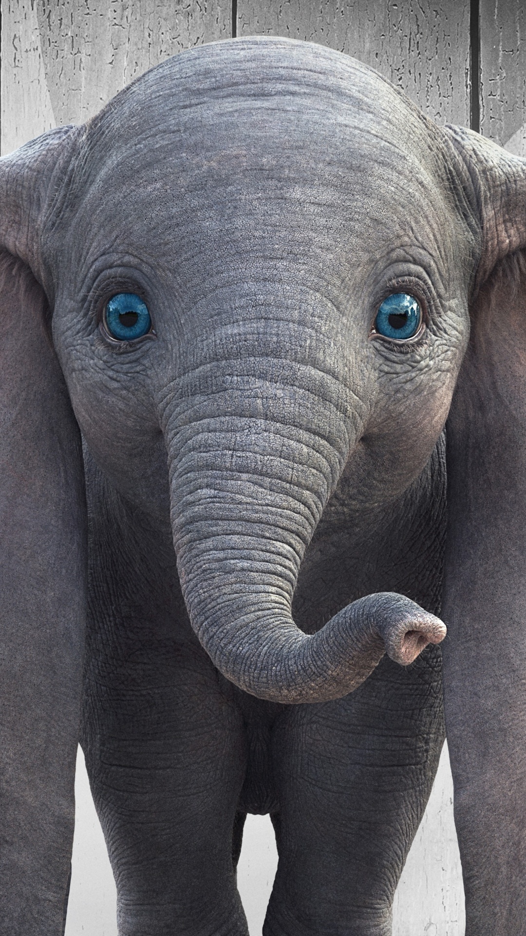 la Lindura, Los Elefantes y Mamuts, Azul, Templo, el Elefante Africano. Wallpaper in 1080x1920 Resolution